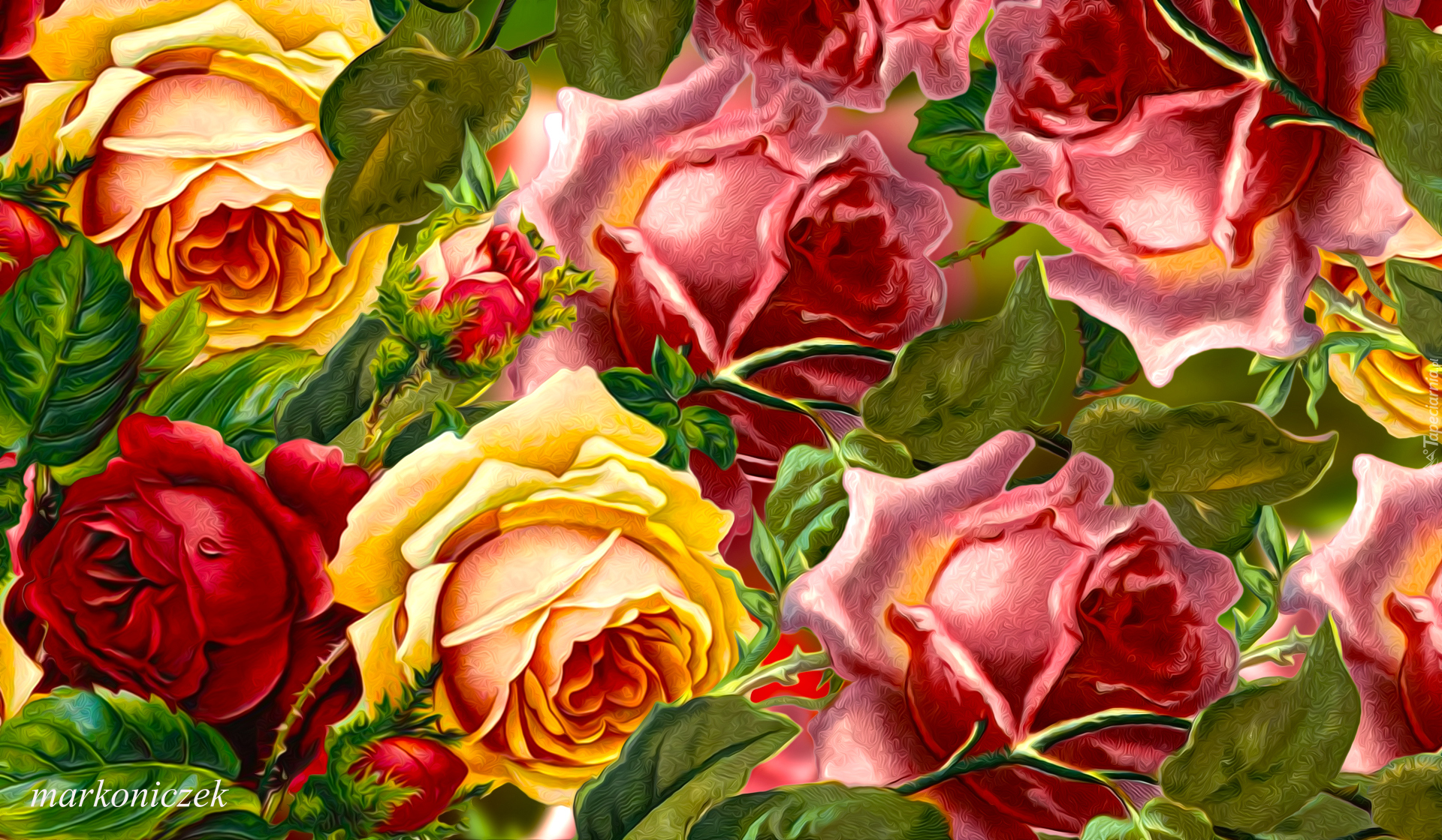 Kolorowe, Róże, Grafika