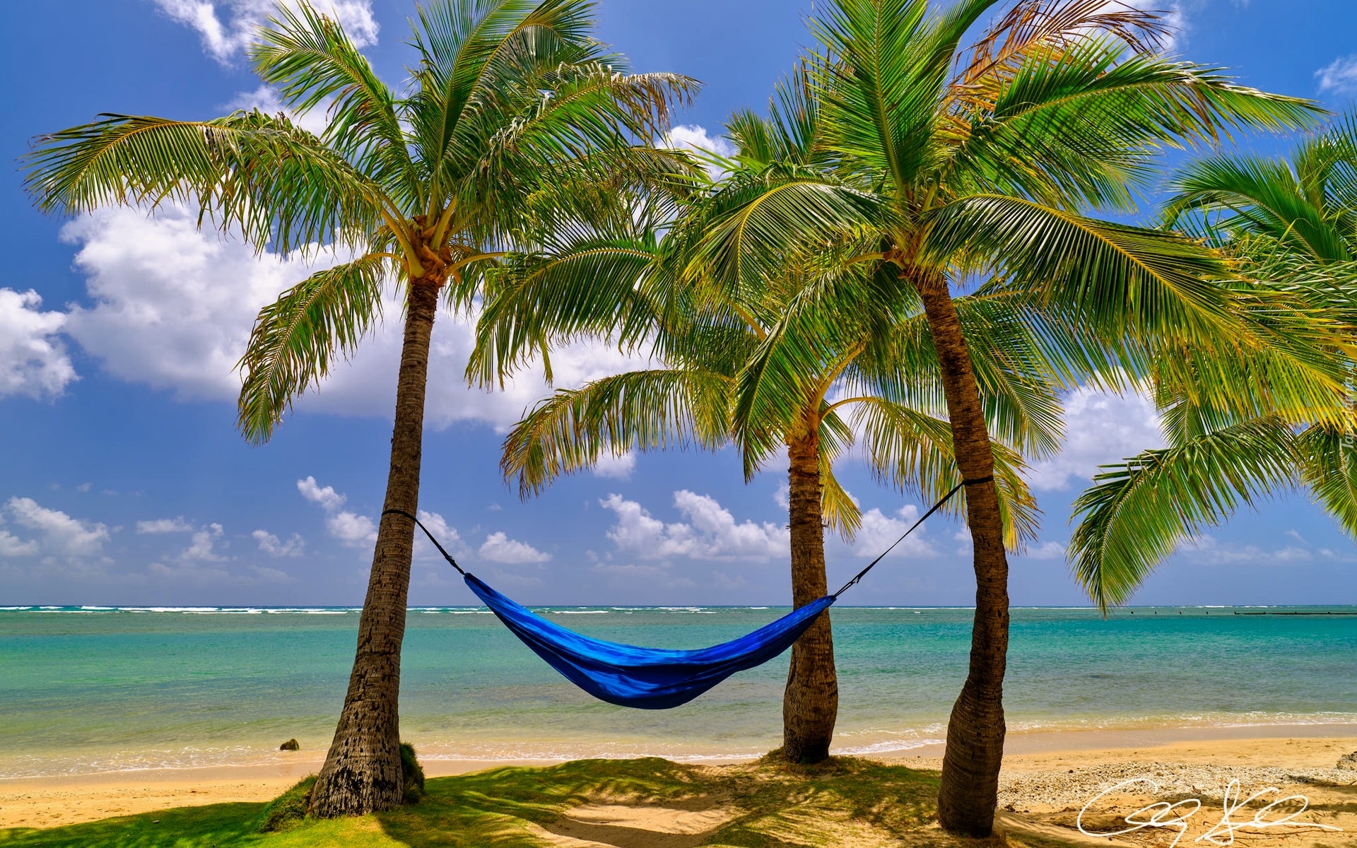 Stany Zjednoczone, Hawaje, Plaża, Kahala Beach, Palmy, Hamak