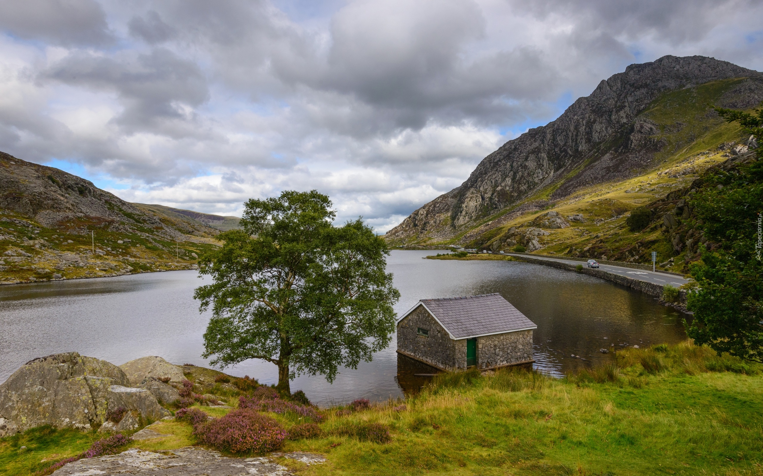 Wielka Brytania, Walia, Park Narodowy Snowdonia, Góry, Jezioro Llyn Ogwen, Drzewa, Droga