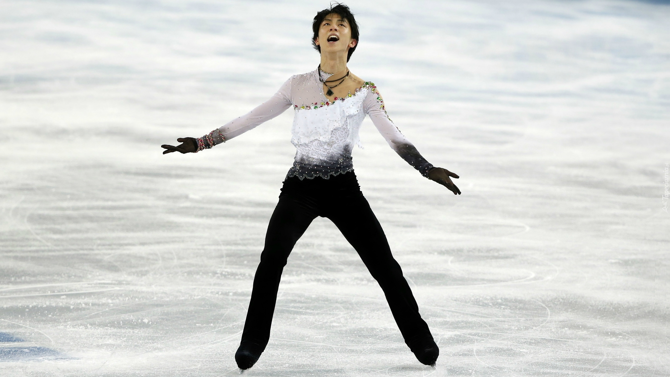 Łyżwiarz figurowy, Sportowiec, Hanyu Yuzuru