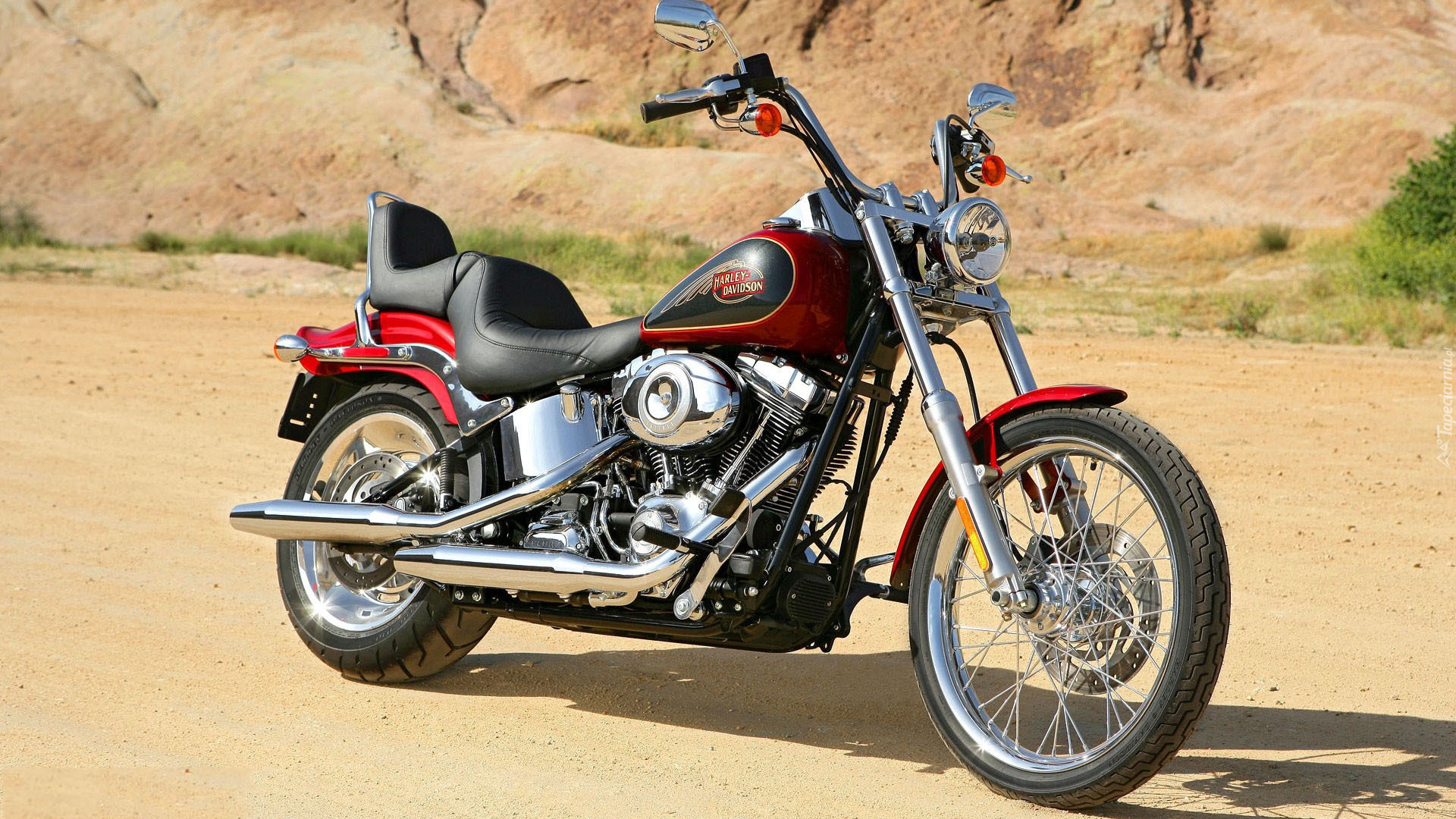 Motocykl, Harley-Davidson Softail Custom