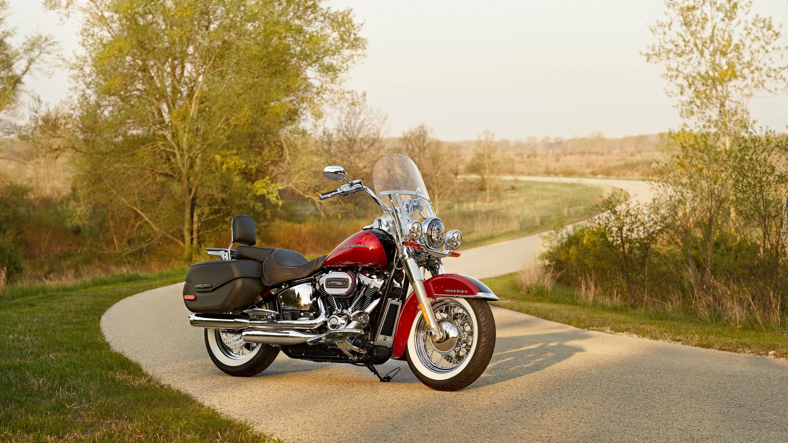 Harley-Davidson Softail Deluxe, 2020