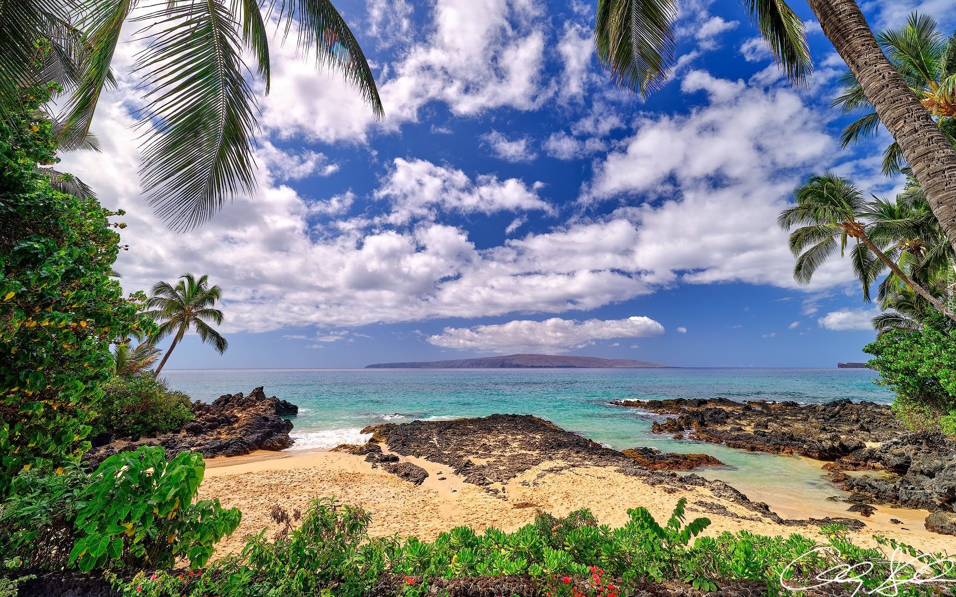 Hawaje, Wyspa Maui, Morze, Roślinność, Palmy, Plaża, Chmury
