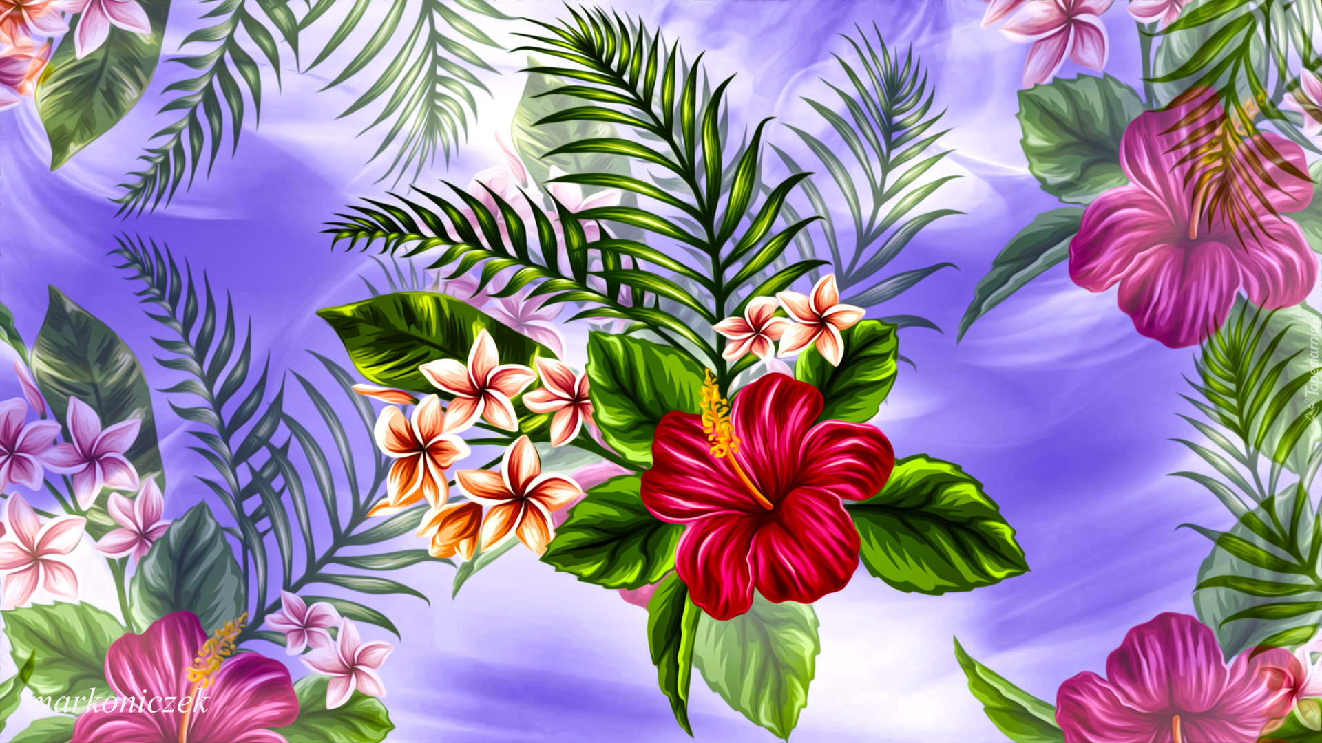 Grafika, Kwiaty, Plumeria, Hibiskus, Listki