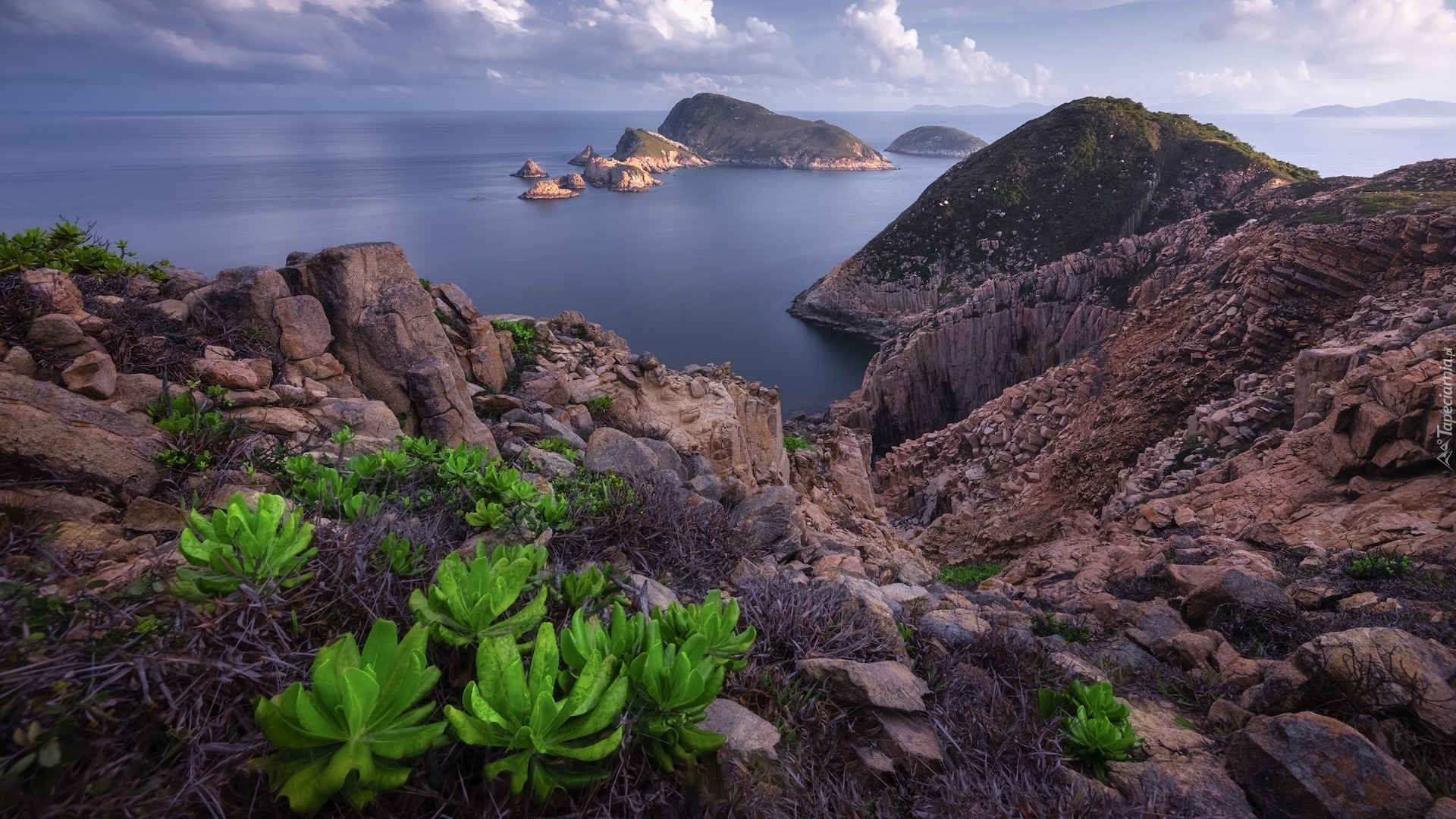 Chiny, Hongkong, Geopark, Morze, Skały, Wysepki, Roślinność