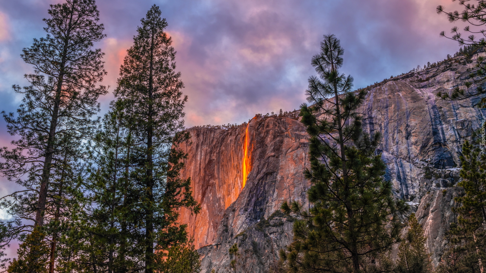 Pomarańczowa, Poświata, Wodospad, Horsetail Fall, Yosemite Firefall, Skalista, Góra, Drzewa, Park Narodowy Yosemite, Kalifornia, Stany Zjednoczone