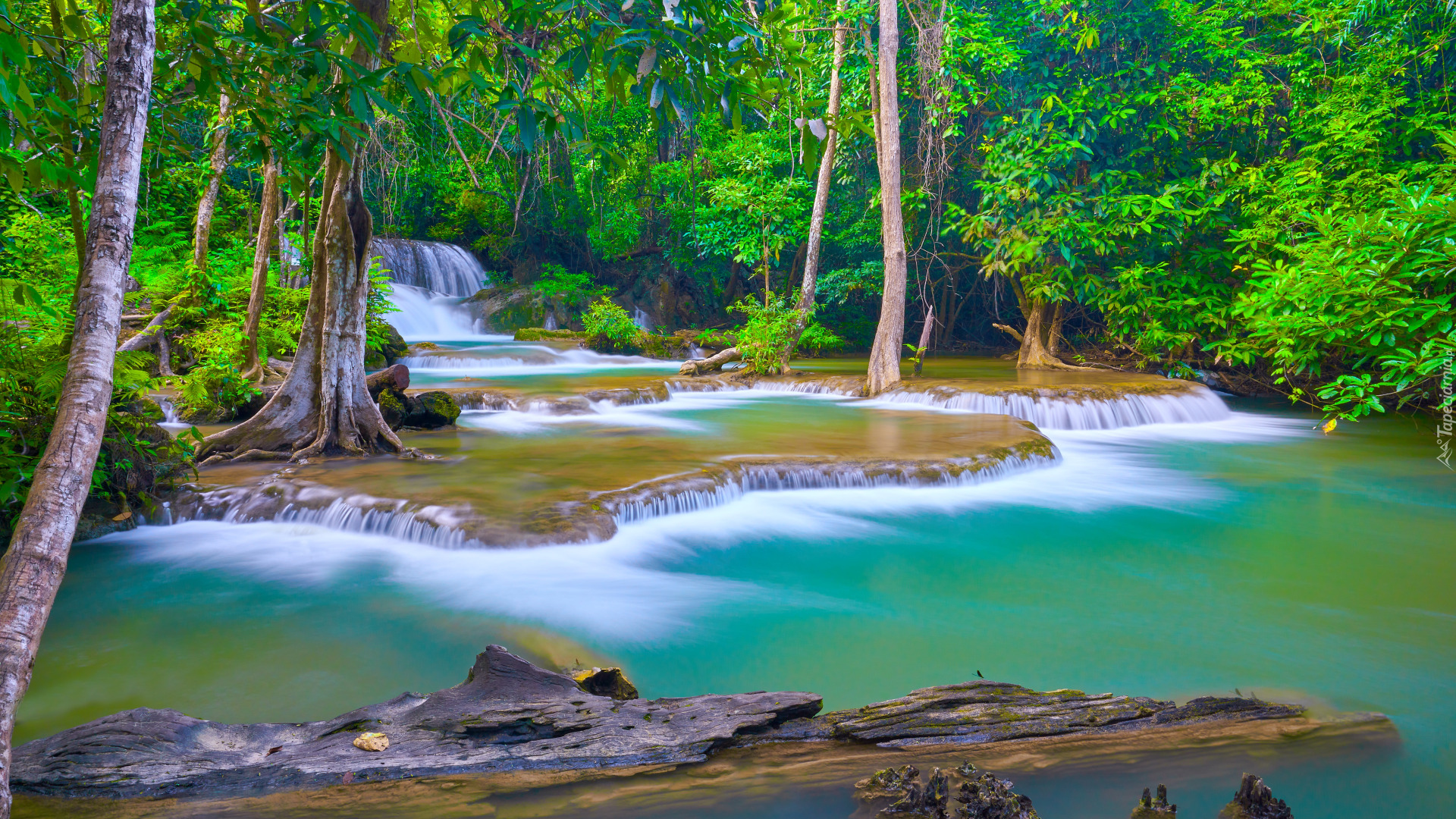 Drzewa, Wodospad, Huai Mae Khamin Waterfall, Kanchanaburi, Tajlandia