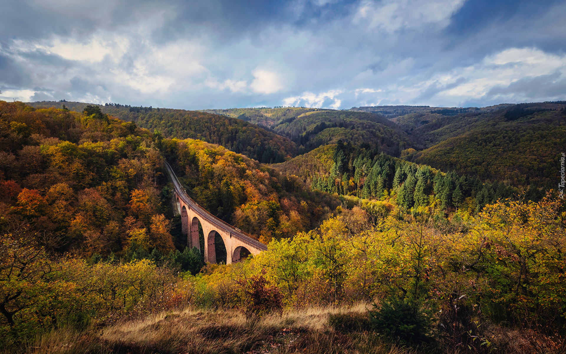 Jesień, Góry, Lasy, Drzewa, Most, Hubertusviadukt, Niemcy
