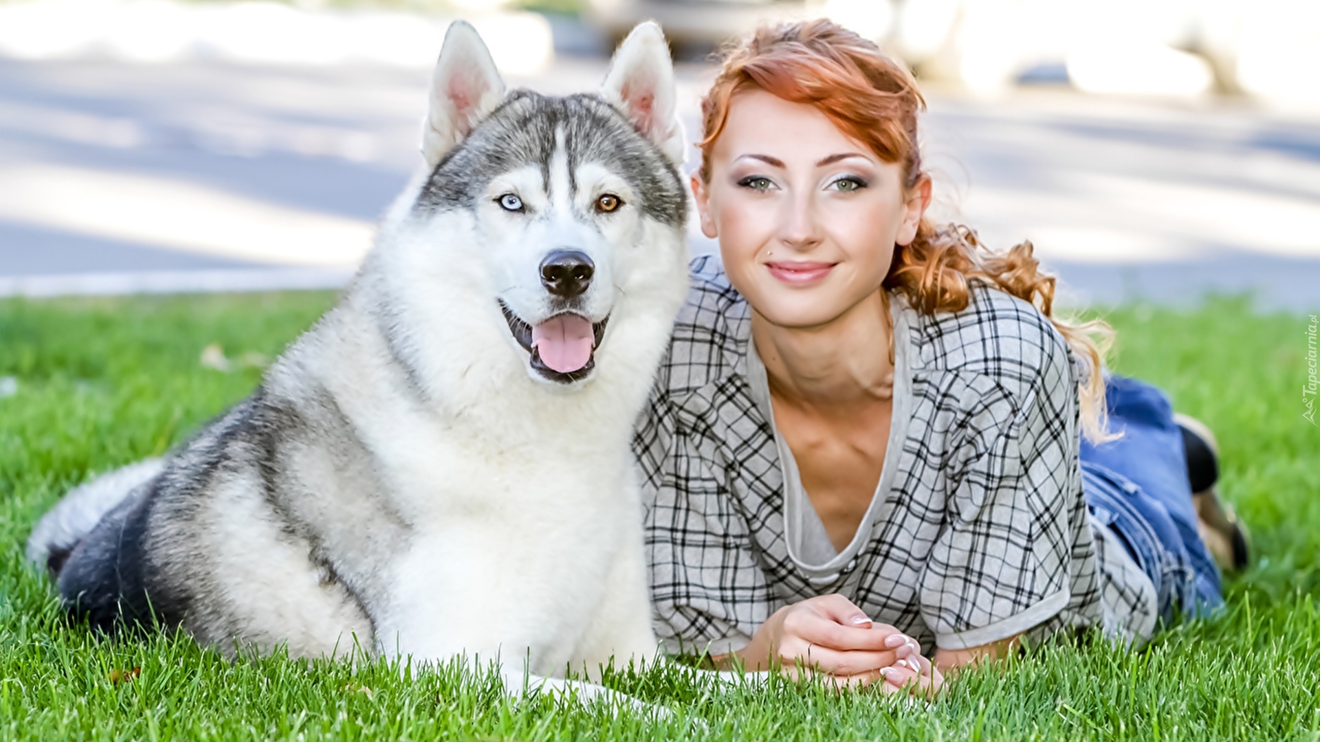 Pies, Siberian husky, Kobieta, Uśmiech