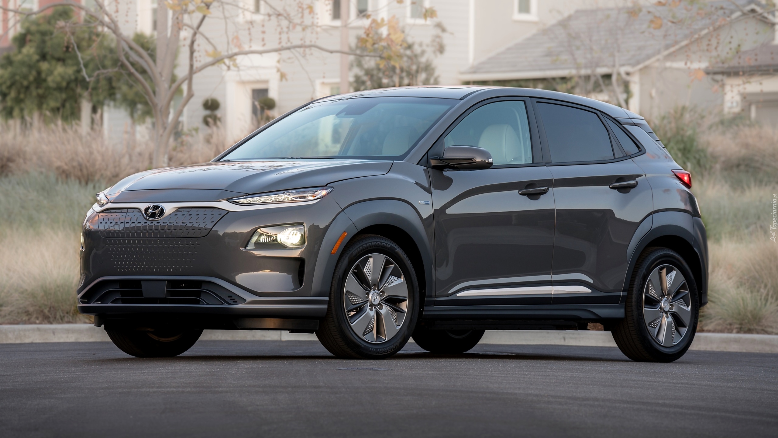 Hyundai Kona Electric