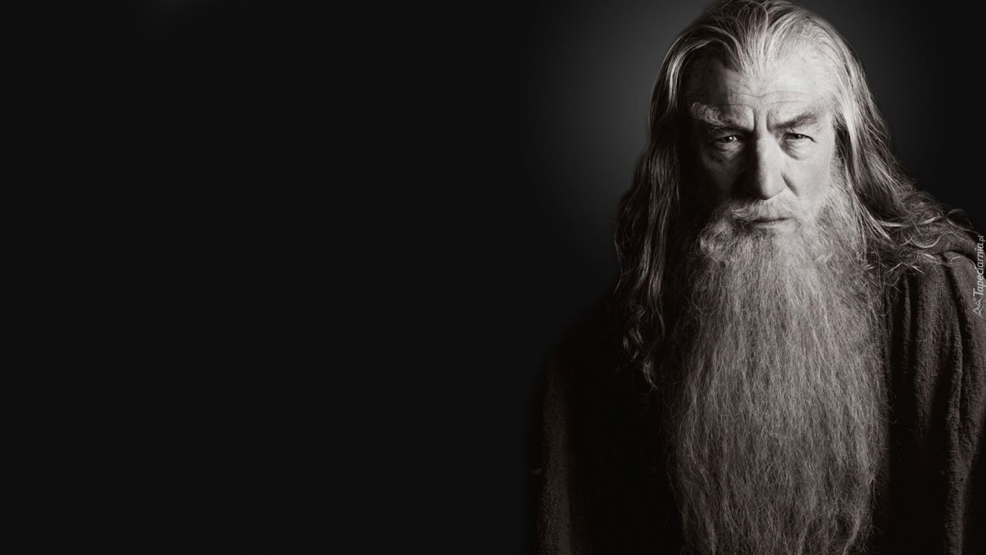 Ian McKellen, Gandalf