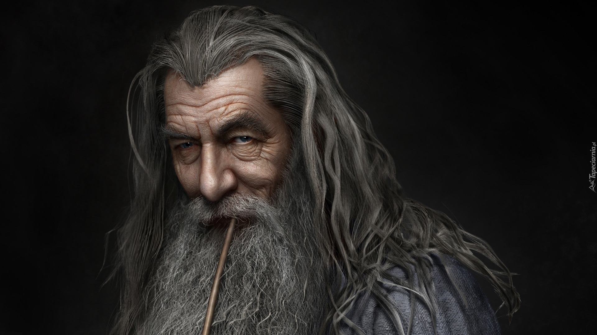 Ian McKellen, Czarodziej, Gandalf Szary, Twarz, Portret, Hobbit