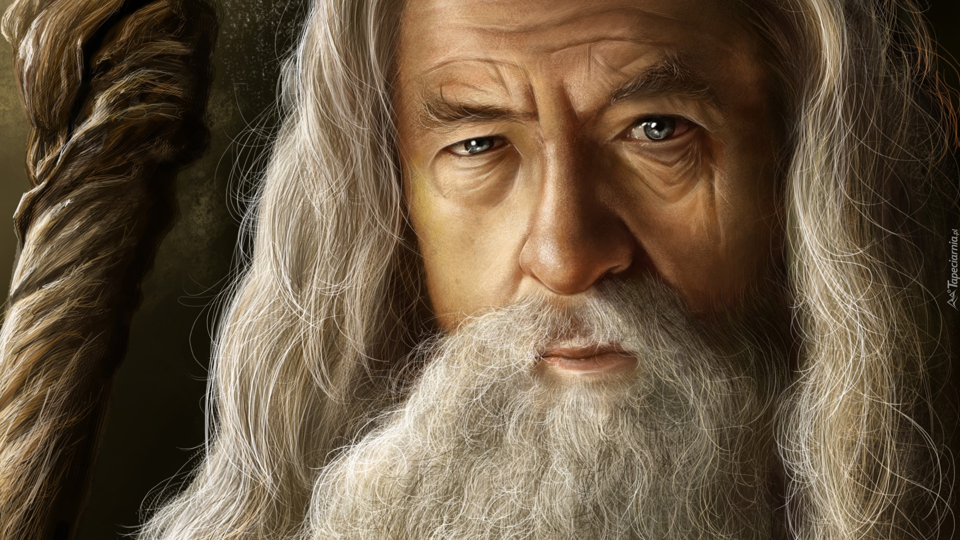 Ian Murray McKellen, Aktor, Gandalf