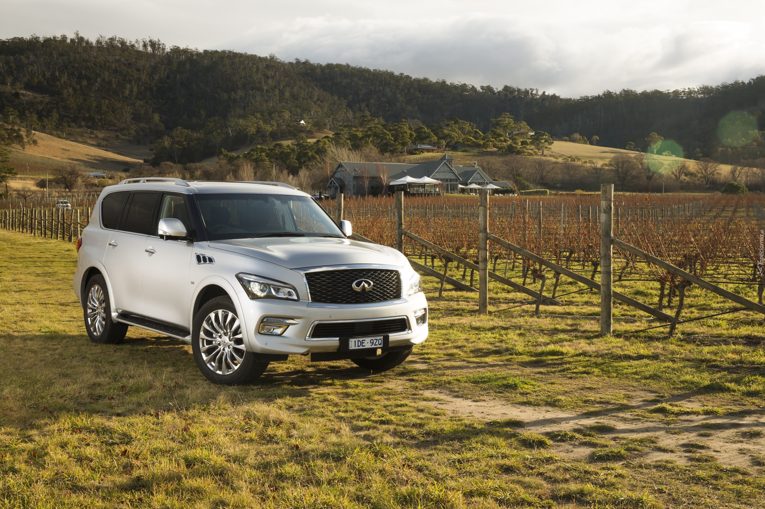 Infiniti QX80, 2015