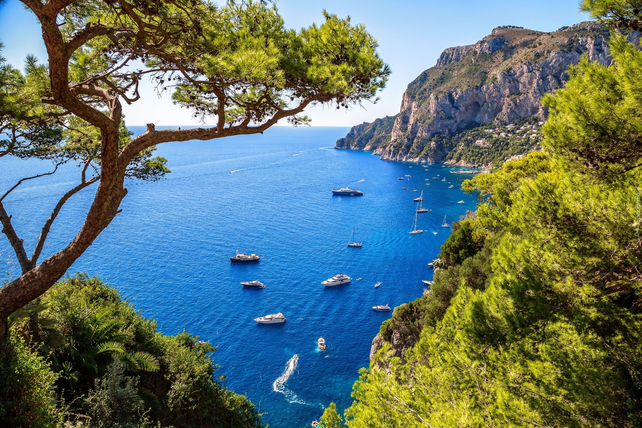 Włochy, Wyspa Capri, Zatoka Marina Piccola, Morze Tyrreńskie, Drzewo, Skały, Jachty