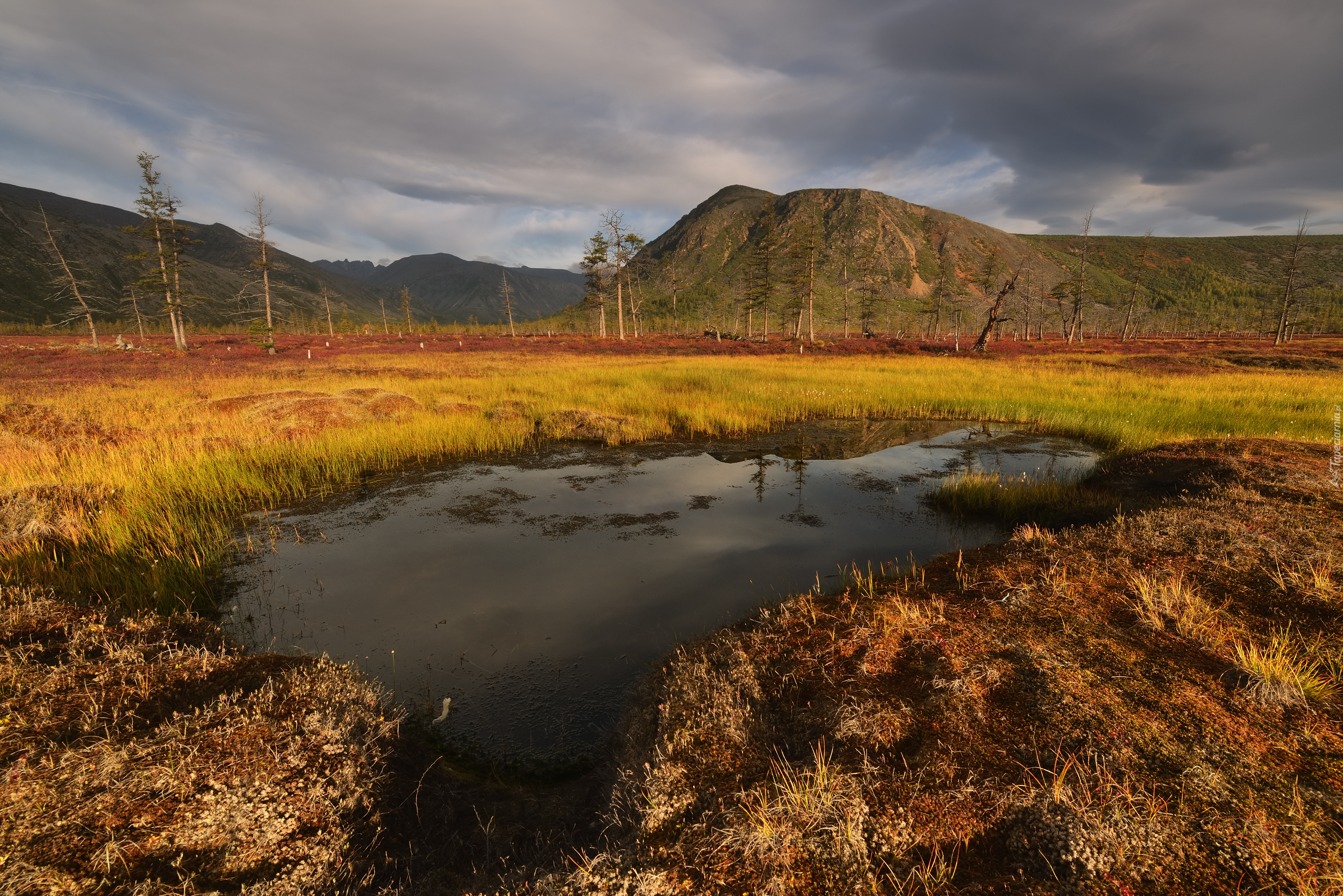 Jesień, Góry Kołymskie, Drzewa, Trawa, Jezioro, Jack London Lake, Kołyma, Magadan, Rosja