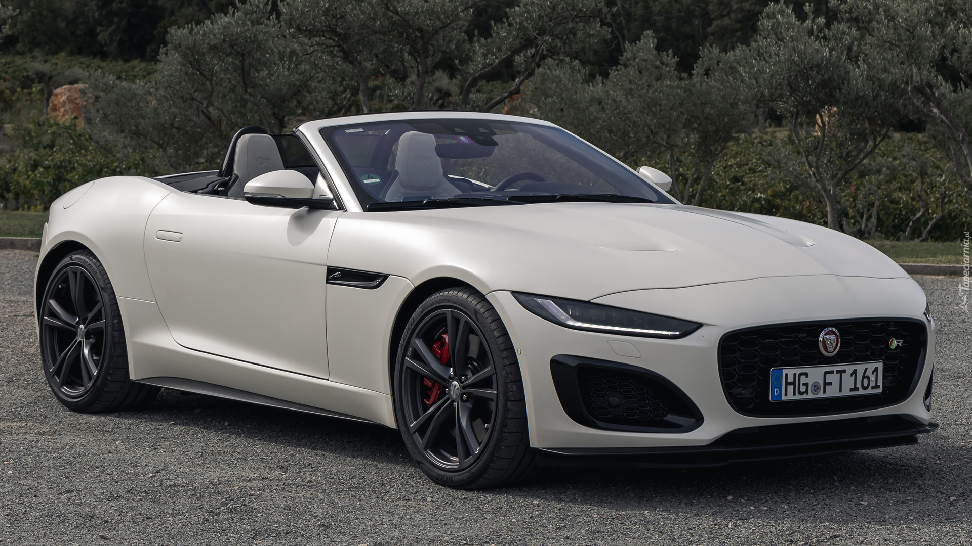Jaguar F-Type R, Cabrio, Alpine