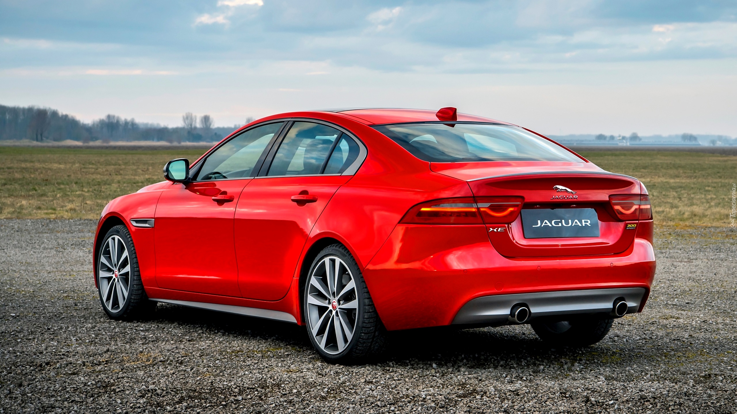 Czerwony, Jaguar XE 300 Sport, Tył