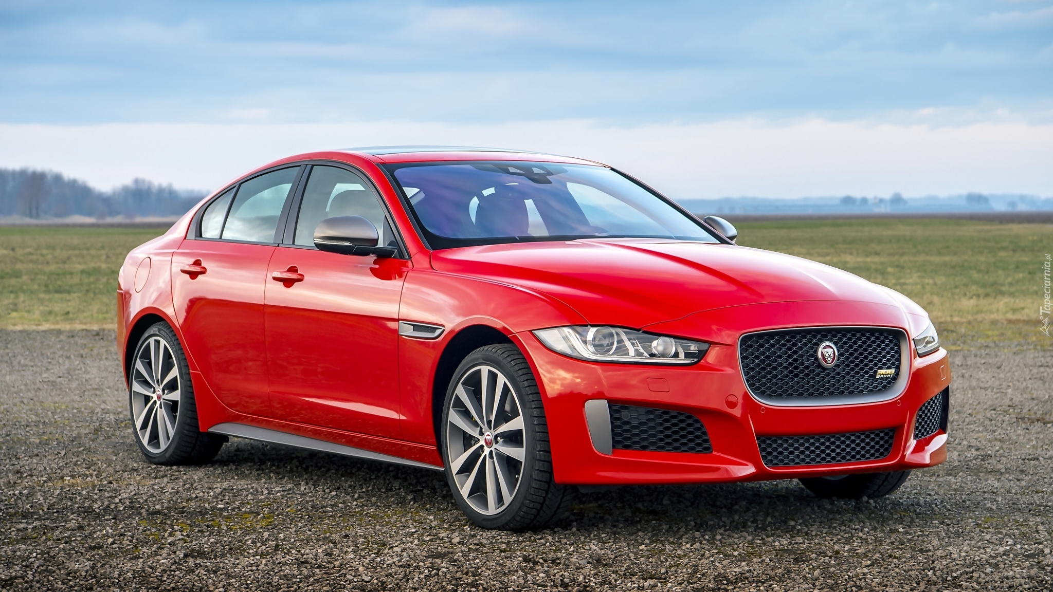 Czerwony, Jaguar XE 300 Sport