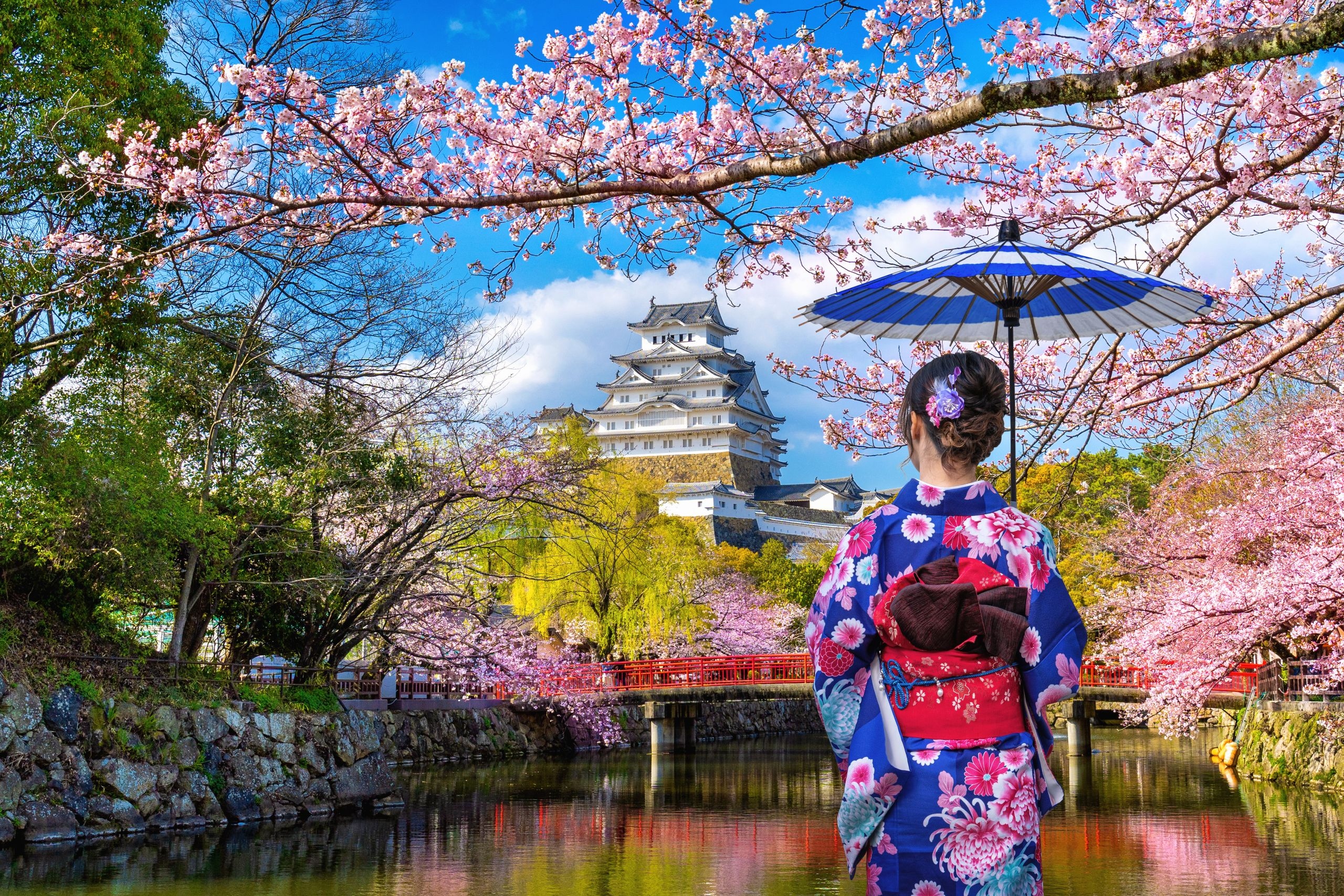 Zamek Himeji, Zamek Białej Czapli, Rzeka, Kobieta, Parasolka, Wiosna, Kwitnące, Drzewa, Miejscowość Himeji, Japonia