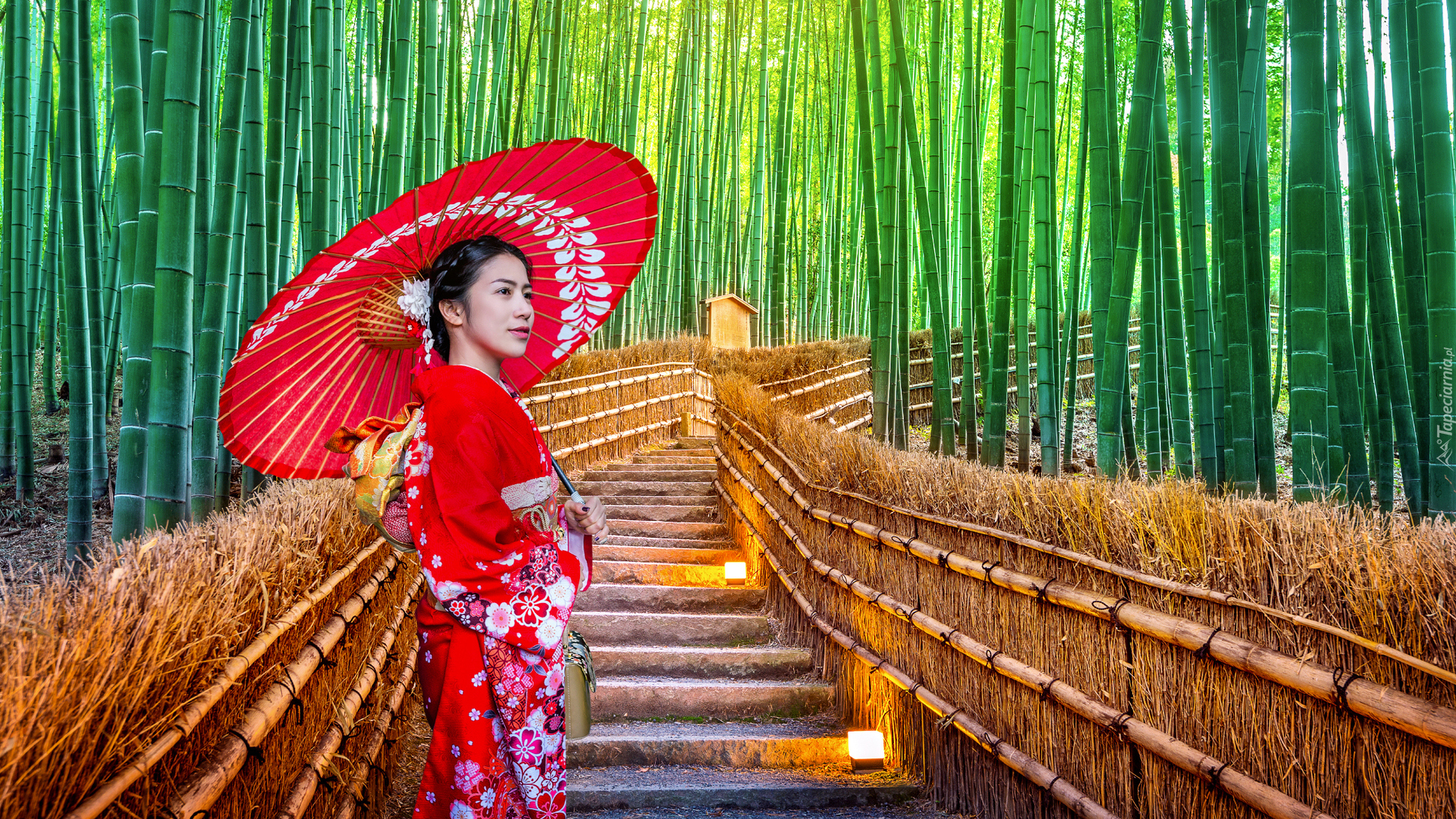 Las bambusowy, Bambusy, Drzewa, Schody, Kobieta, Japonka, Strój japoński, Parasolka, Arashiyama Bamboo Forest, Kioto, Japonia