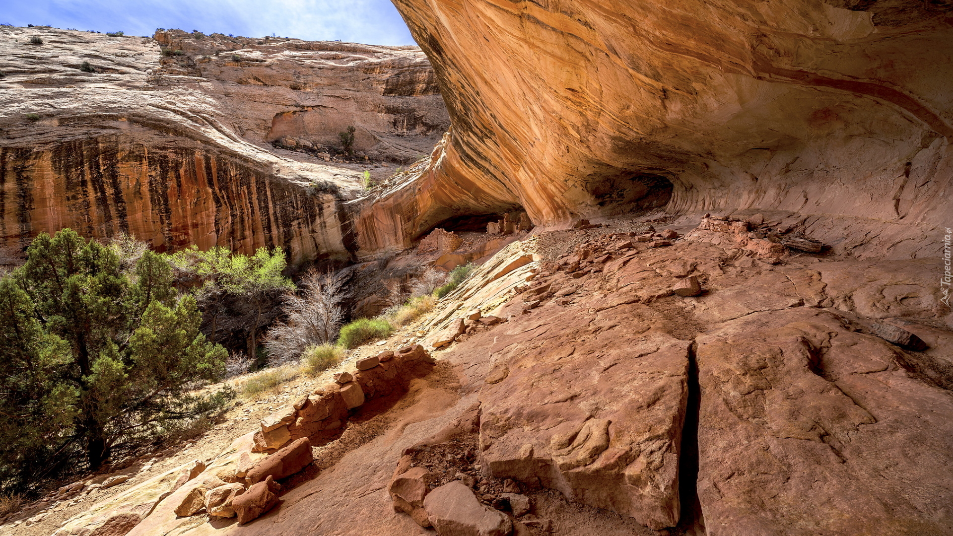 Skały, Jaskinia, Monarch cave, Płaskowyż Cedar Mesa, Hrabstwo San Juan, Stan Utah, Stany Zjednoczone