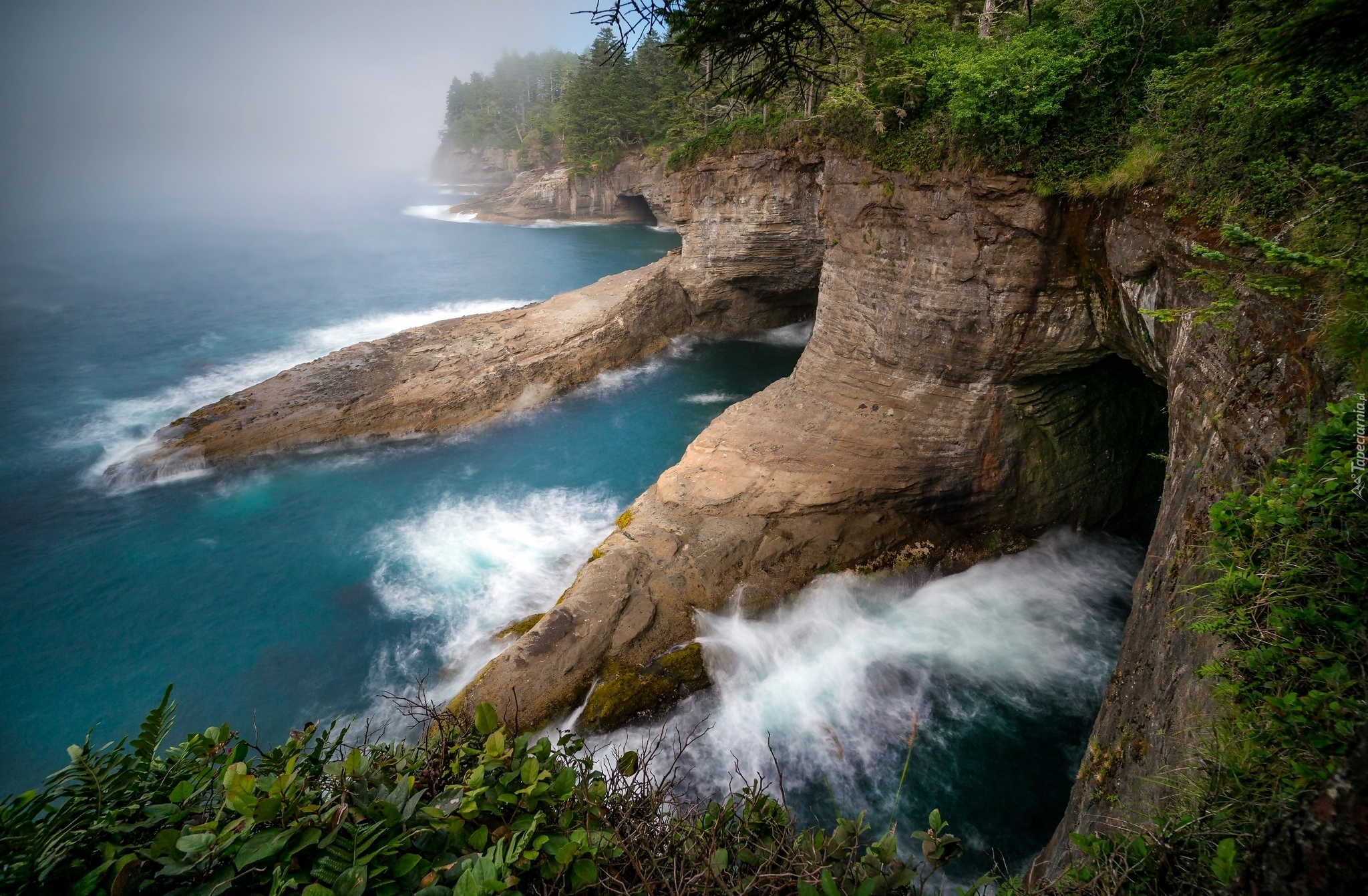 Jaskinie, Przylądek Cape Flattery, Park Narodowy Olympic, Stan Waszyngton, Stany Zjednoczone, Morze, Wybrzeże, Skały, Rośliny