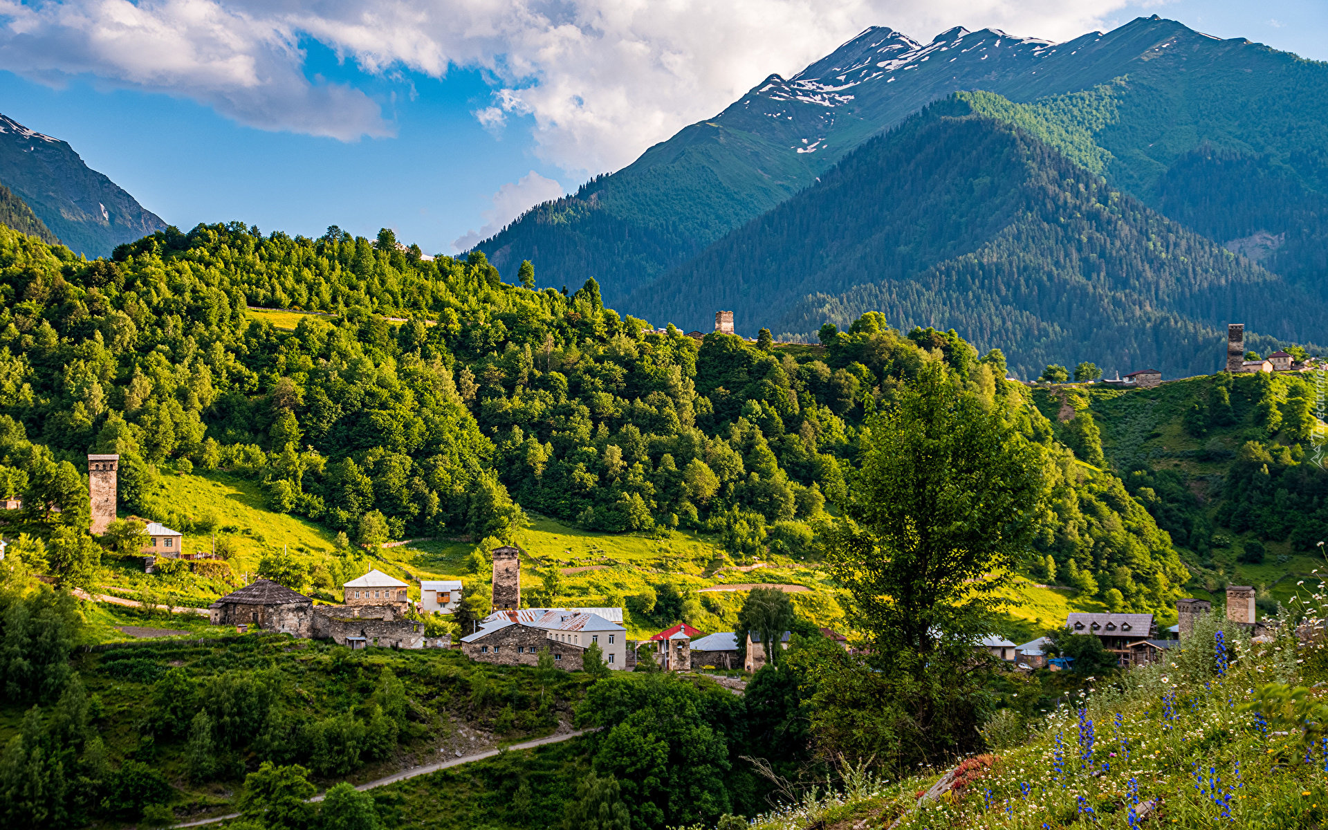 Gruzja, Swanetia, Ushguli, Góry, Domy, Lasy, Drzewa
