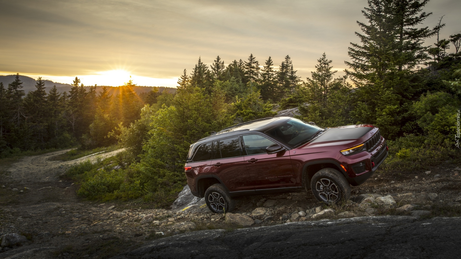 Jeep Grand Cherokee Trailhawk, Drzewa