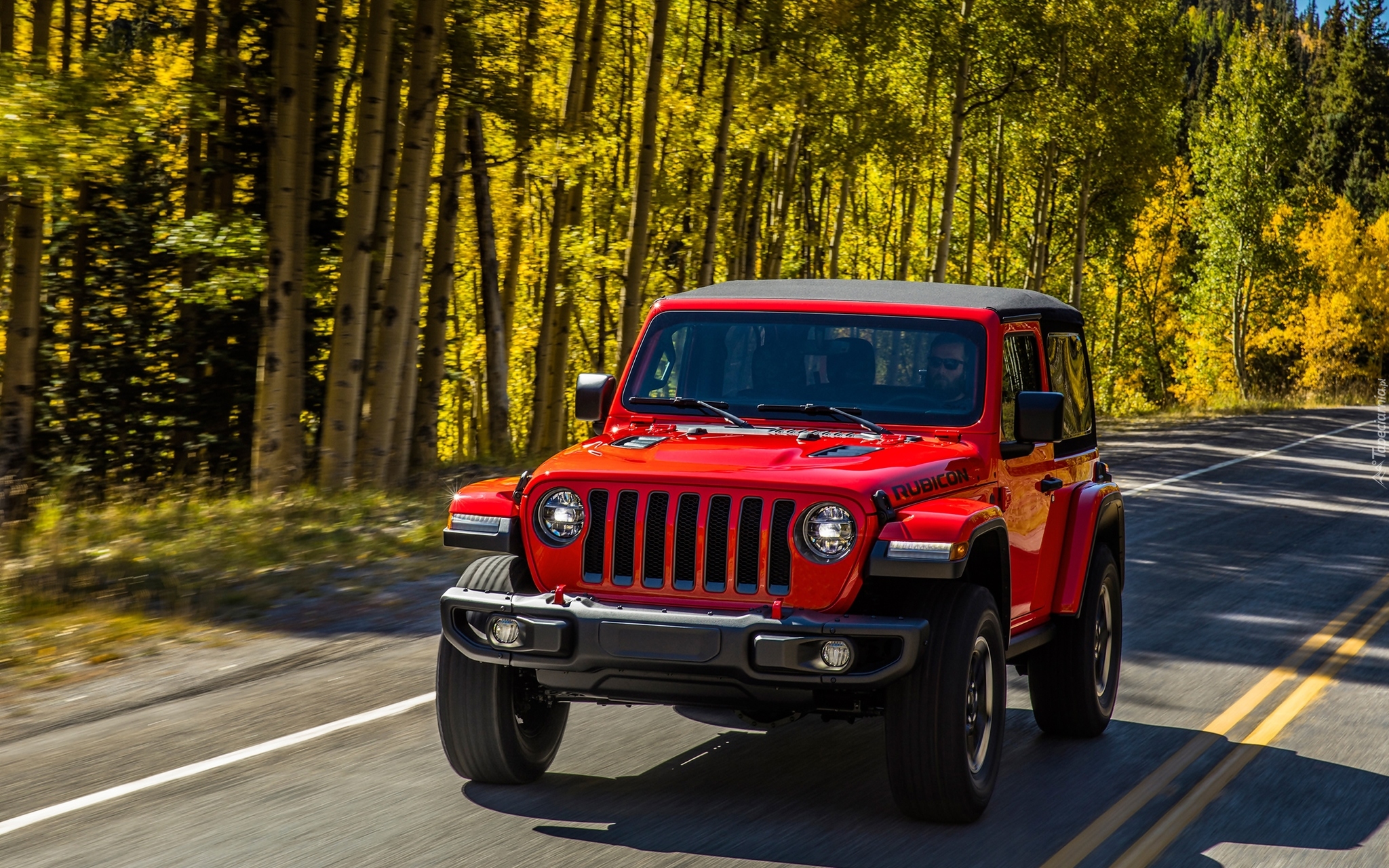 Czerwony, Jeep Wrangler Rubicon, 2018, Droga, Drzewa