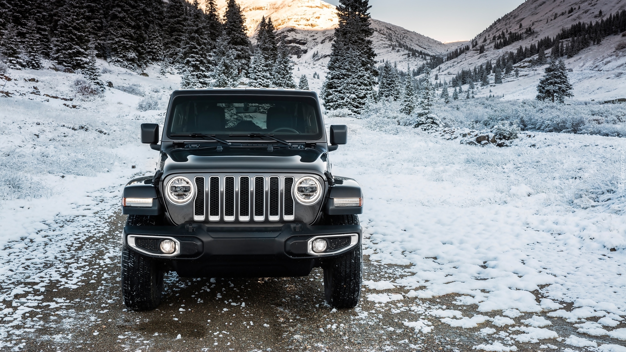 Jeep Wrangler Unlimited Sahara, 2018, Przód