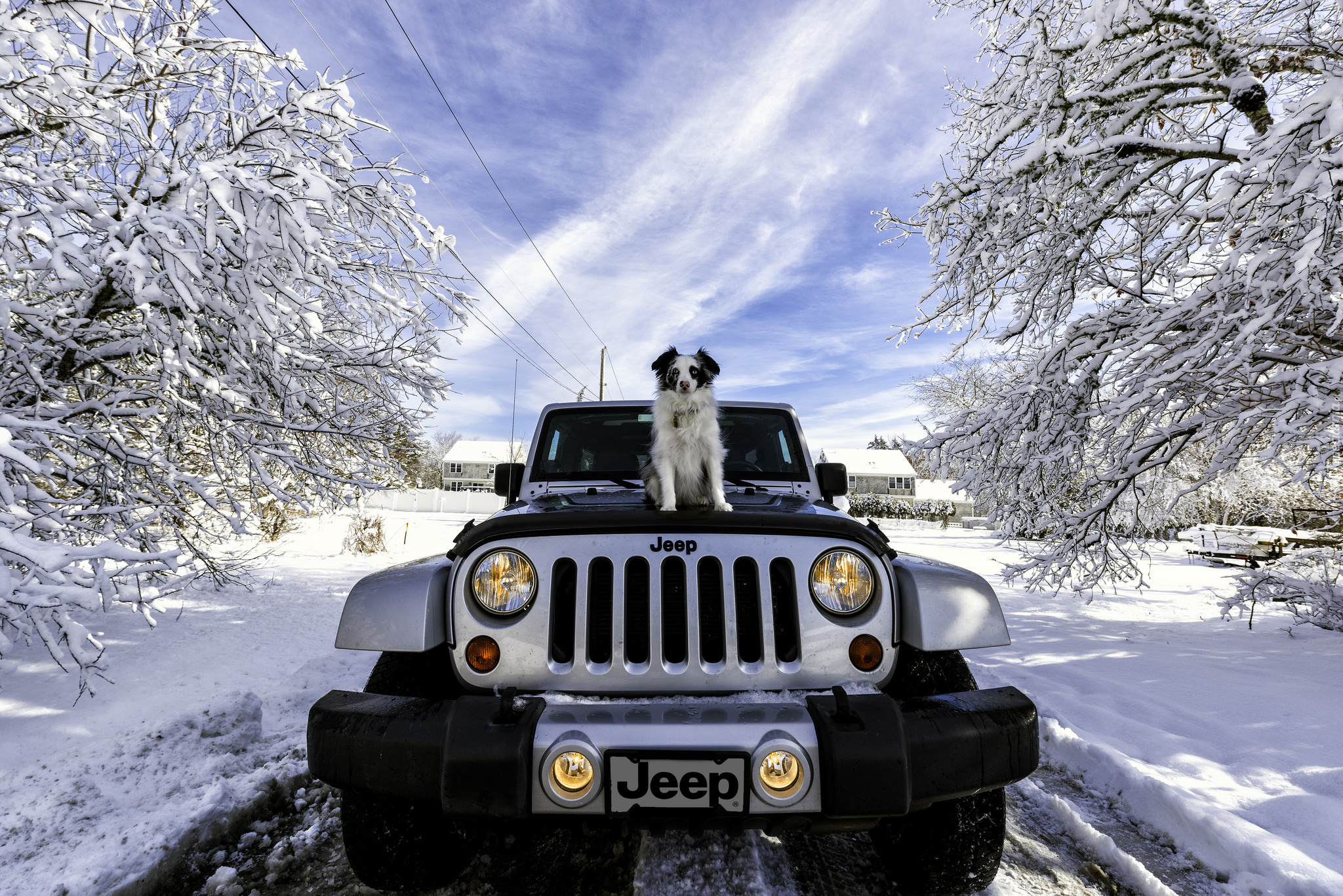 Zima, Samochód, Jeep, Wrangler, Owczarek australijski