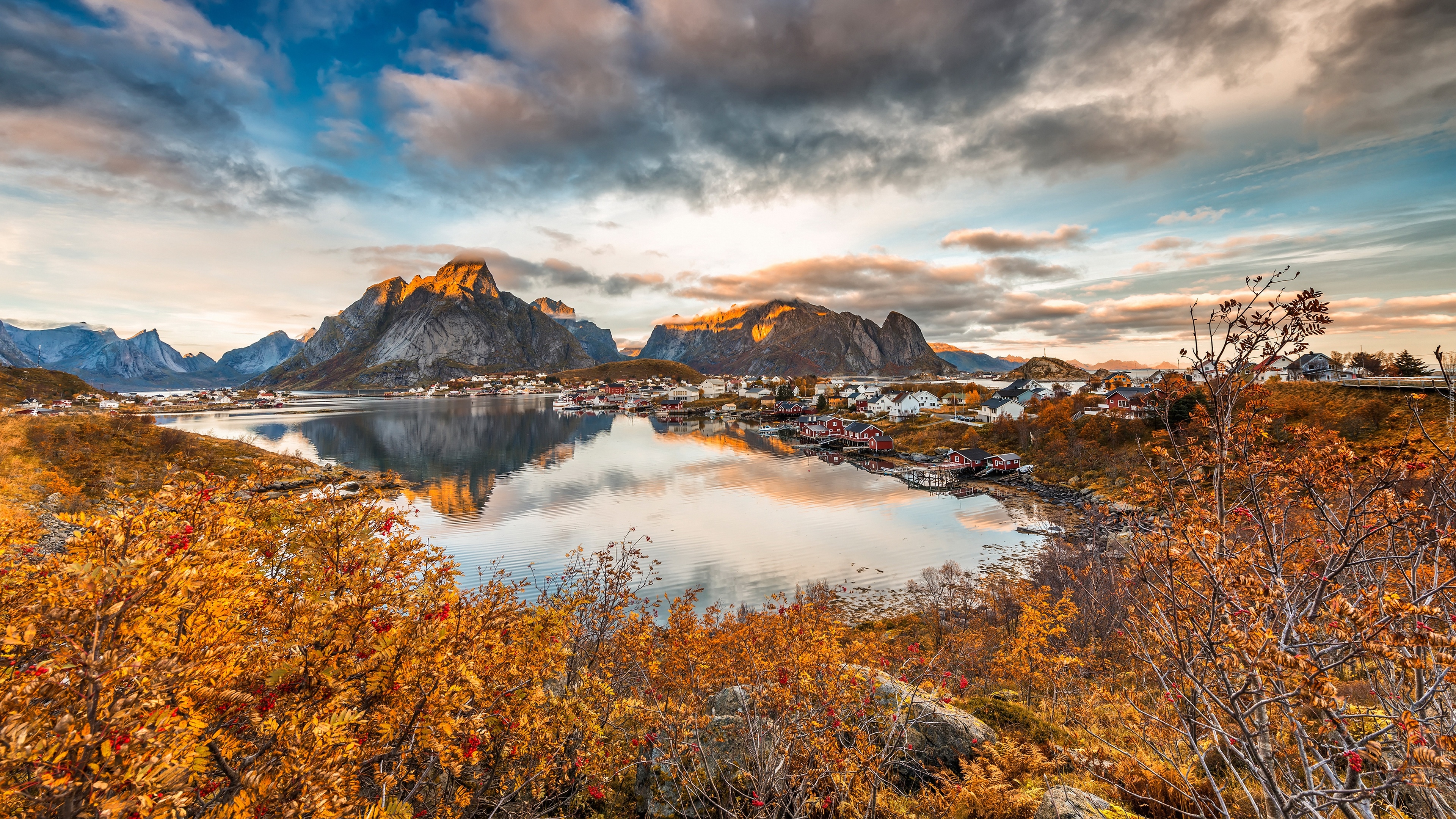 Norwegia, Lofoty, Jesień, Góry, Drzewa, Morze