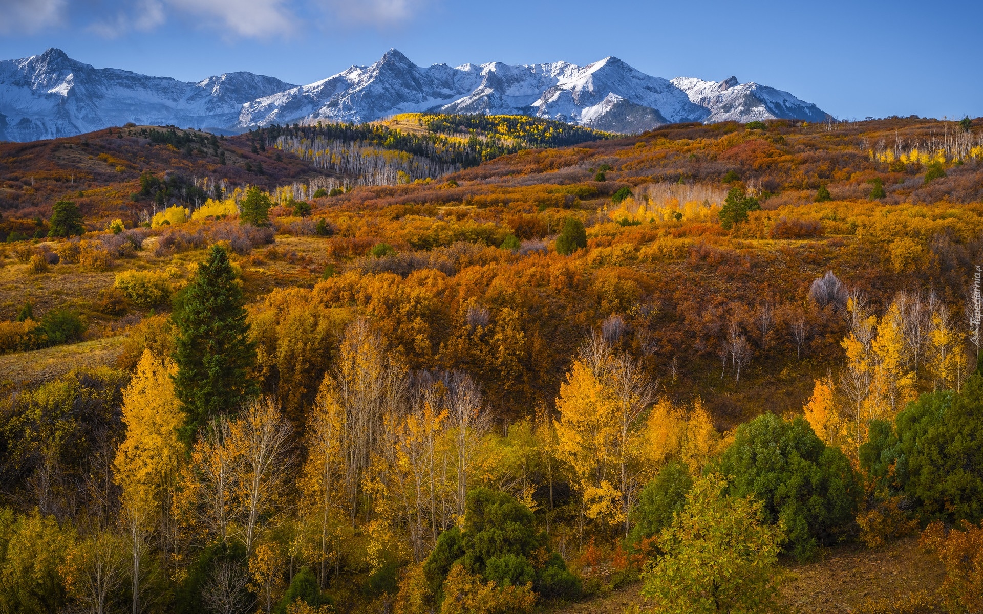 Góry, San Juan Mountains, Przełęcz, Dallas Divide, Jesień, Las, Drzewa, Kolorado, Stany Zjednoczone