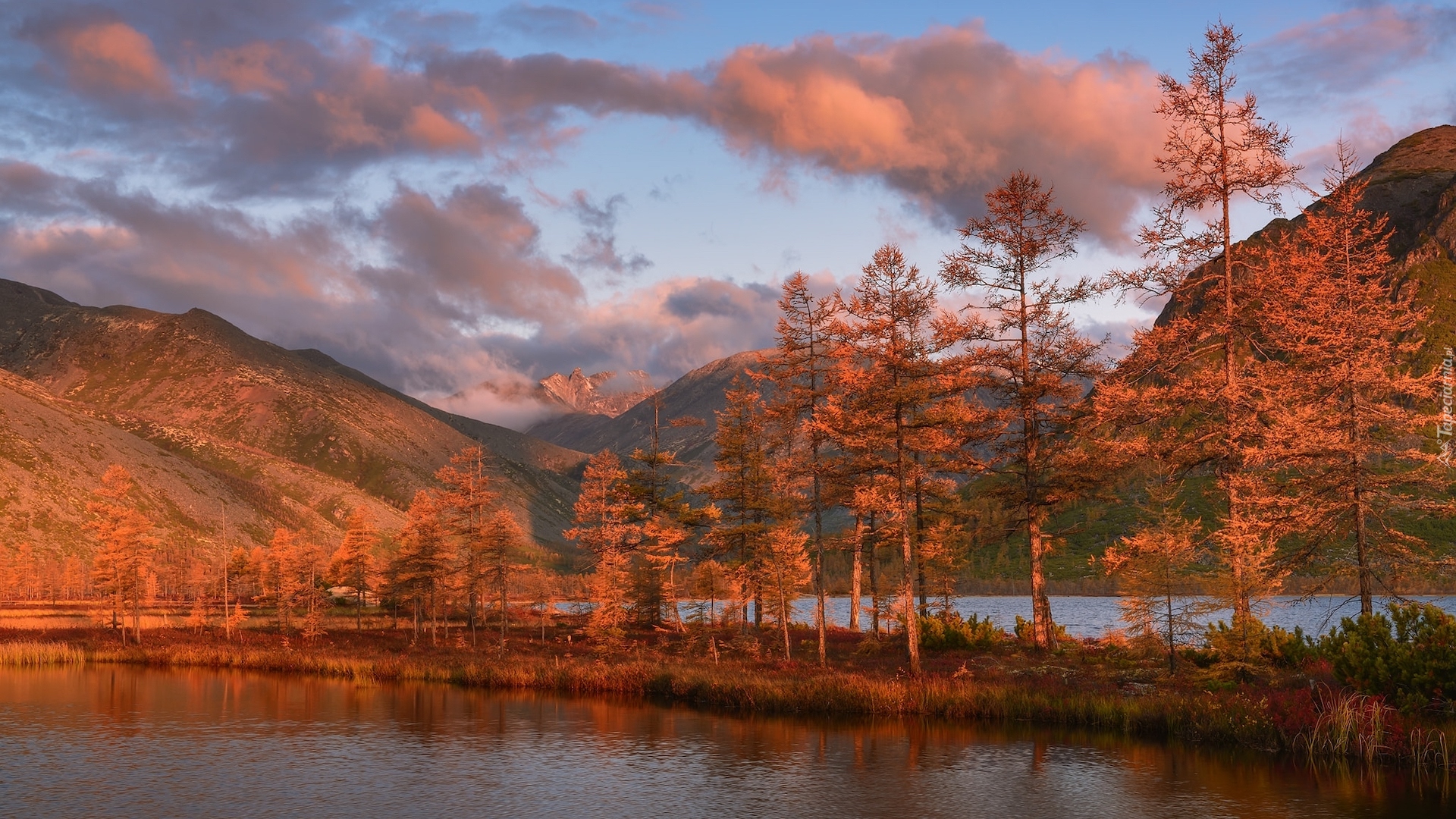 Jesień, Drzewa, Roślinność, Góry Kołymskie, Jezioro, Jack London, Kołyma, Obwód magadański, Rosja