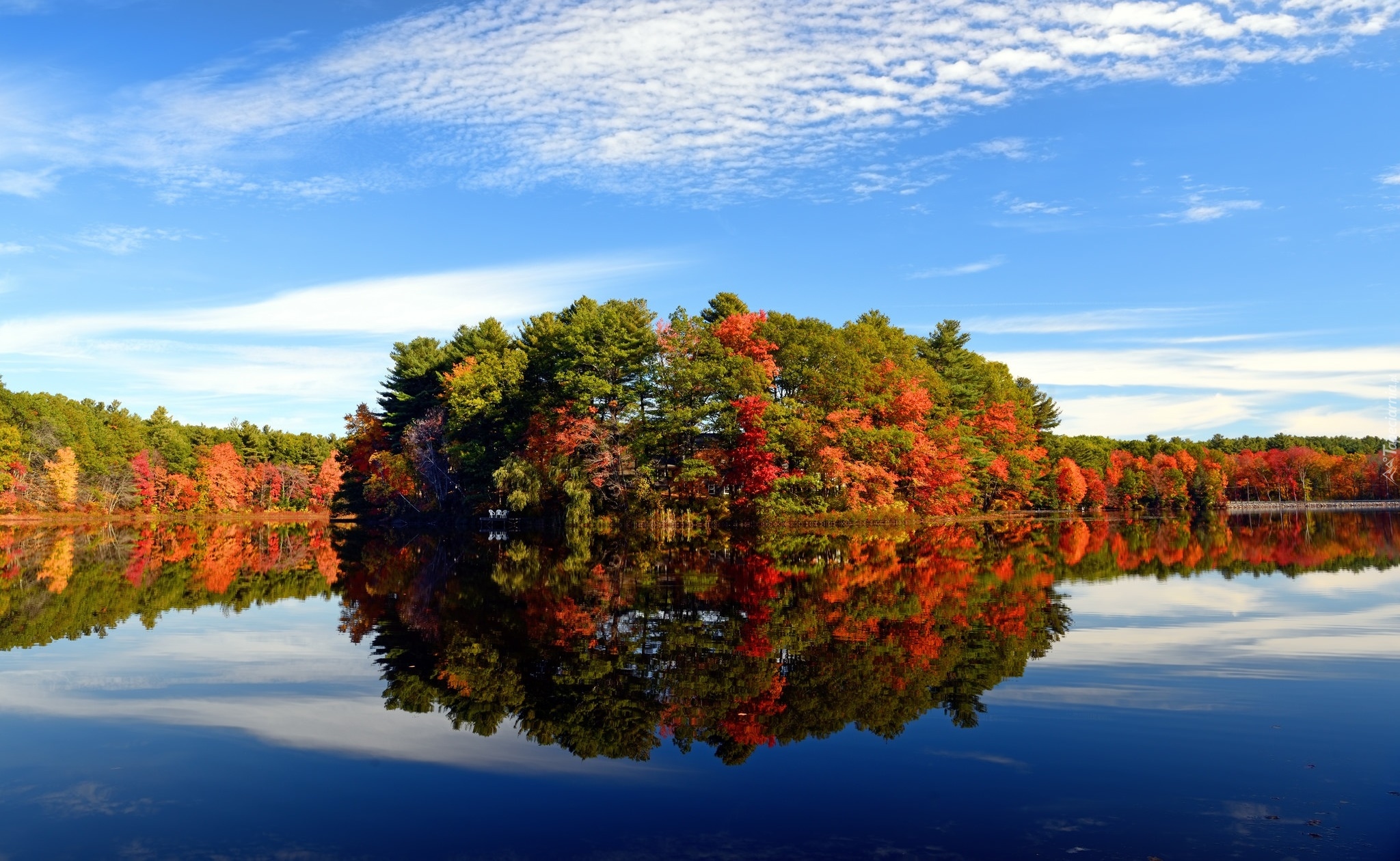 Stany Zjednoczone, Stan Massachusetts, Walpole, jezioro Turner Pond,  Drzewa, Jesień