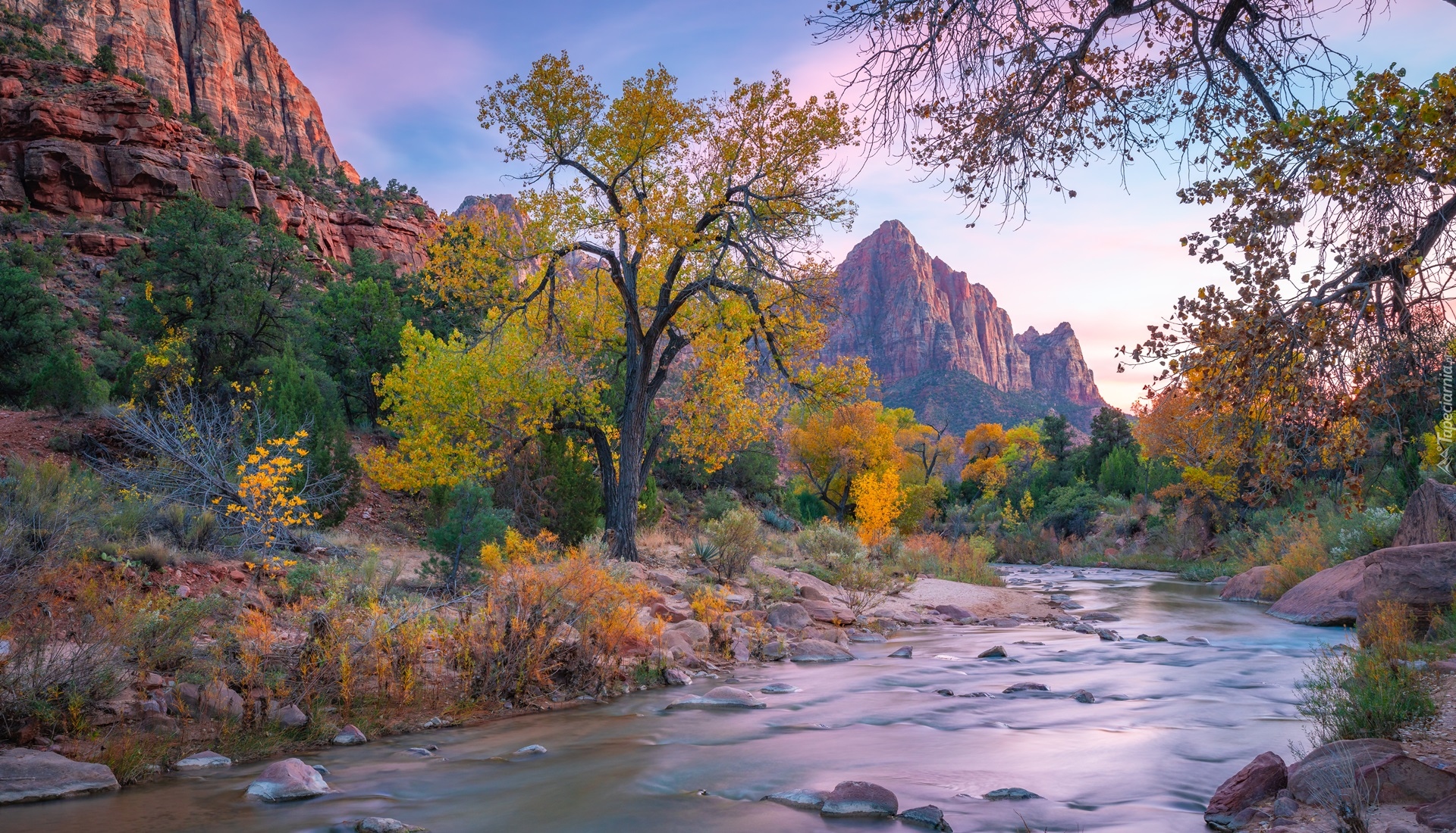 Park Narodowy Zion, Góra Watchman, Drzewa, Góry, Rzeka, Virgin River, Stan Utah, Stany Zjednoczone