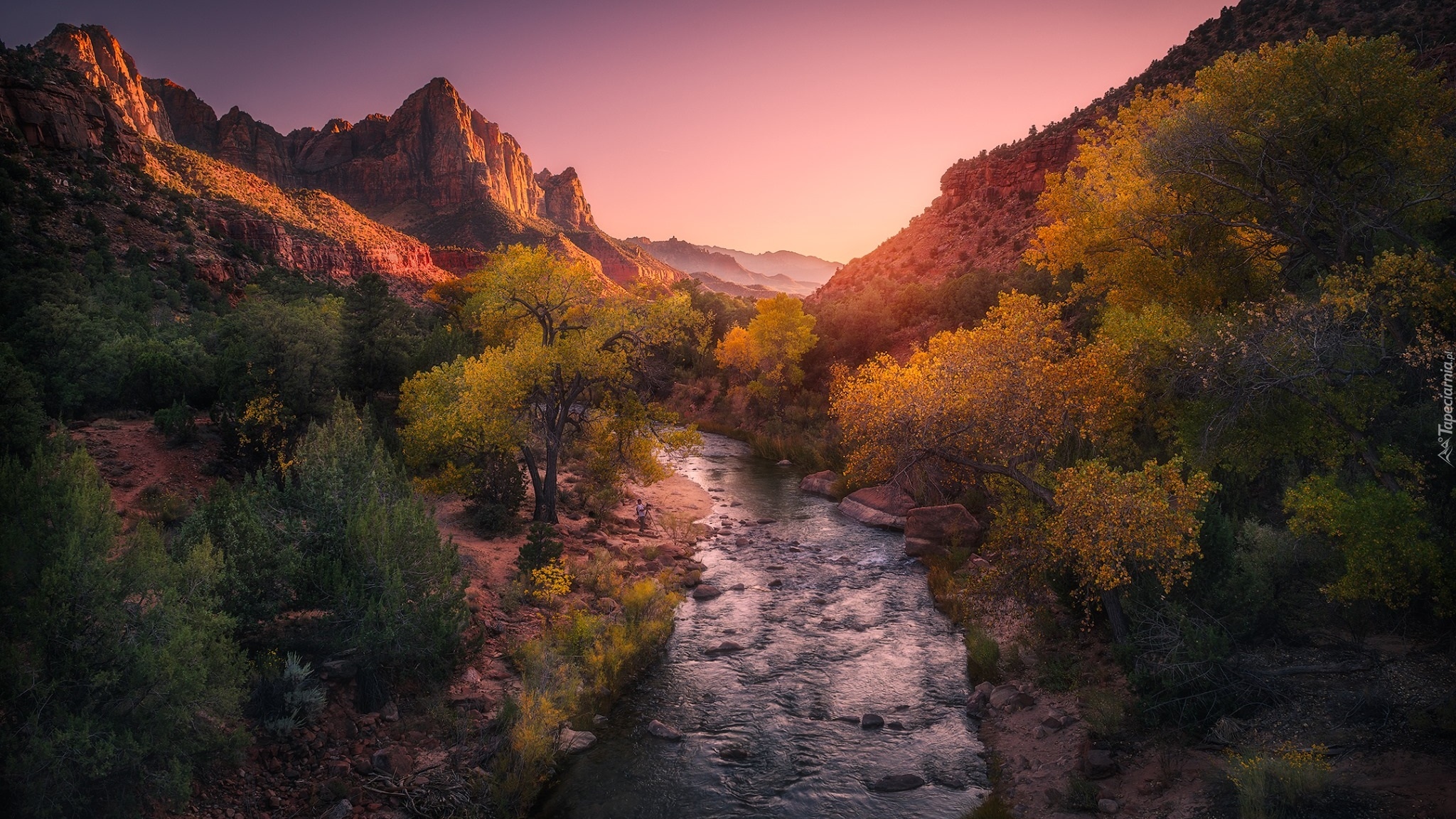 Góry, Góra Watchman, Rzeka, Rzeka Virgin River, Drzewa, Jesień, Park Narodowy Zion, Utah, Stany Zjednoczone