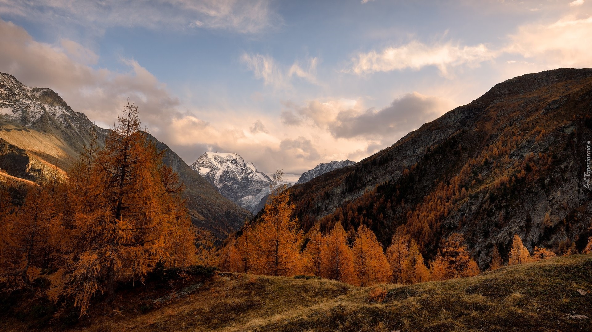 Góry, Alpy Pennińskie, Drzewa, Jesień, Chmury, Szwajcaria