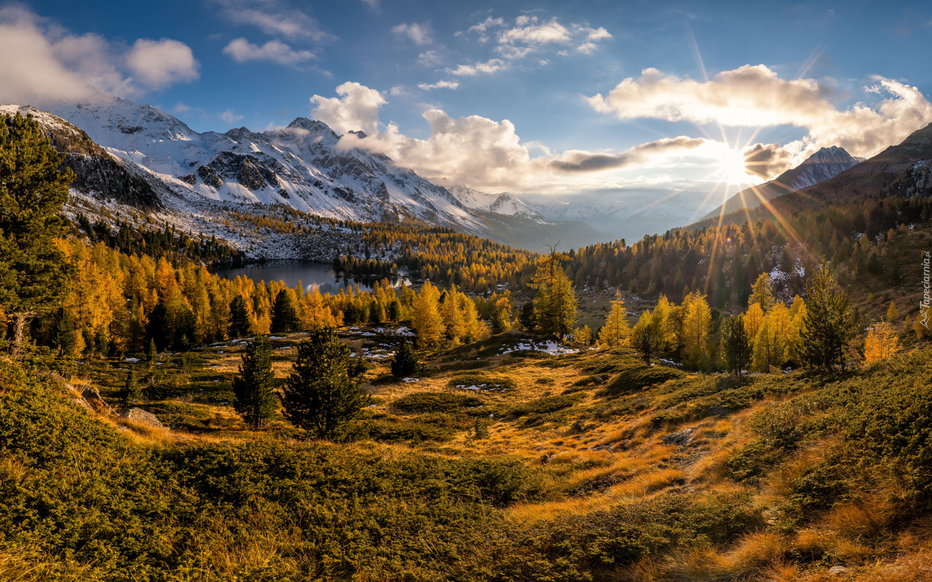 Jesień, Góry, Alpy, Las, Drzewa, Roślinność, Promienie, Słońca, Dolina, Valle di Campo, Szwajcaria