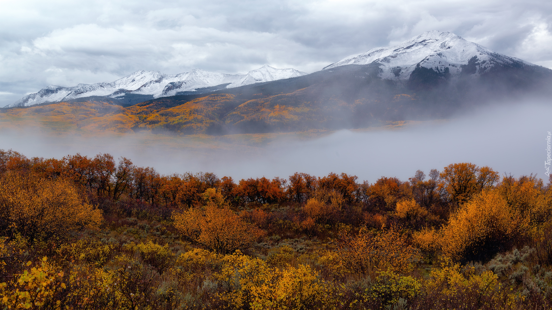 Stany Zjednoczone, Rocky Mountains, Góry Skaliste, Jesień, Lasy, Drzewa, Mgła, Roślinność