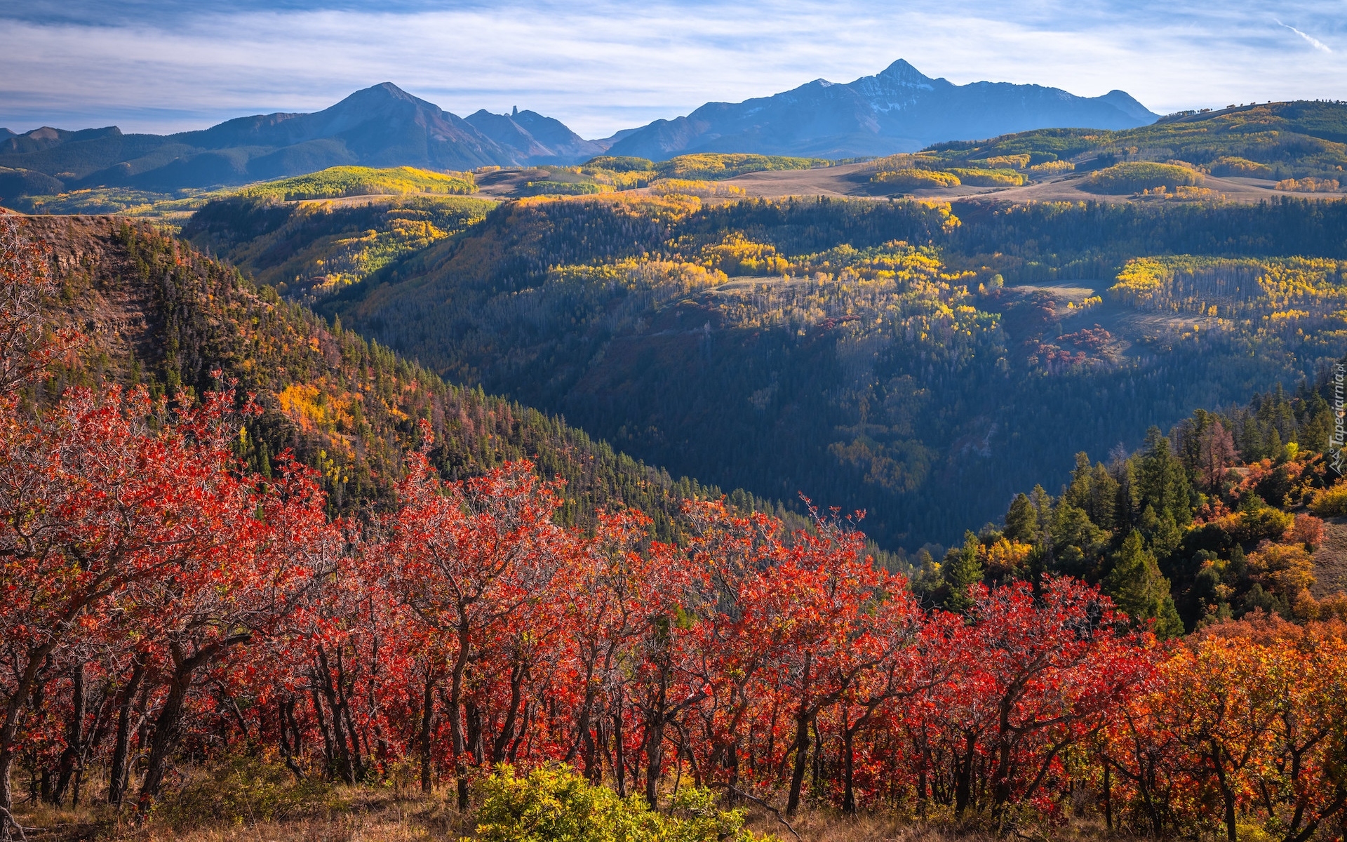 Stany Zjednoczone, Kolorado, Telluride, Jesień, Góry, San Juan Mountains, Kolorowe, Drzewa, Topole