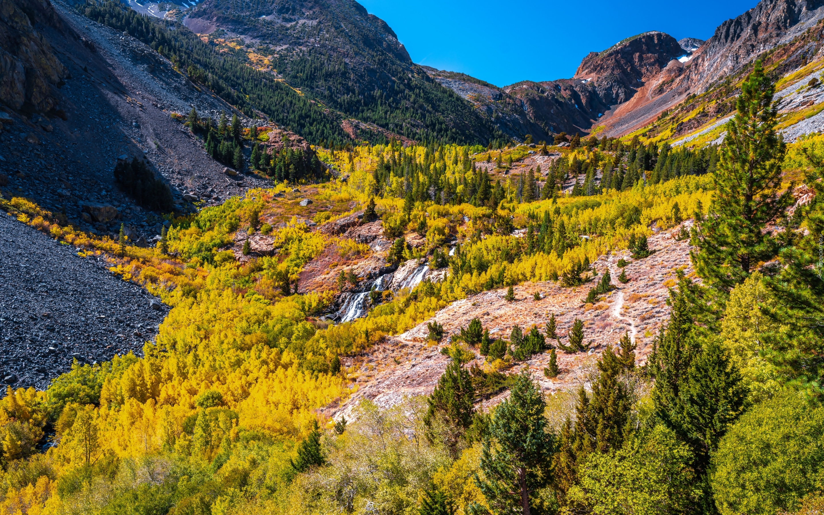 Góry, Drzewa, Lasy, Jesień, Rzeka, Wąwóz, Lundy Canyon, Kalifornia, Stany Zjednoczone