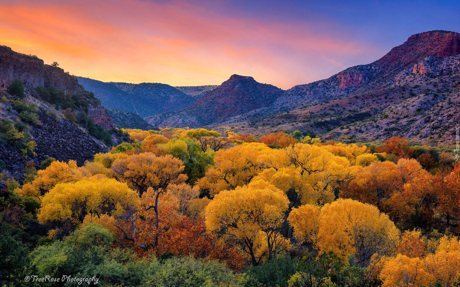 Jesień, Drzewa, Góry, Kanion Sycamore, Arizona, Stany Zjednoczone