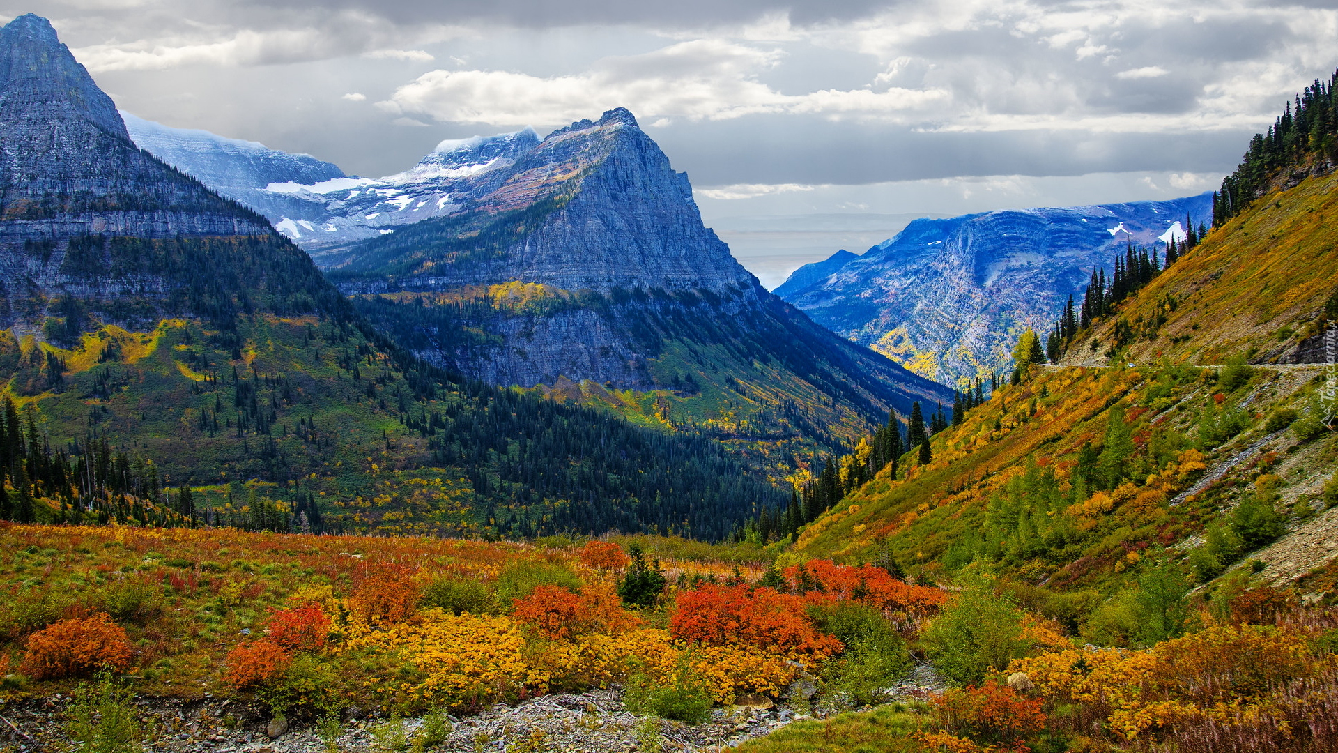 Park Narodowy Glacier, Góry Skaliste, Jesień, Kolorowe, Rośliny, Montana, Stany Zjednoczone