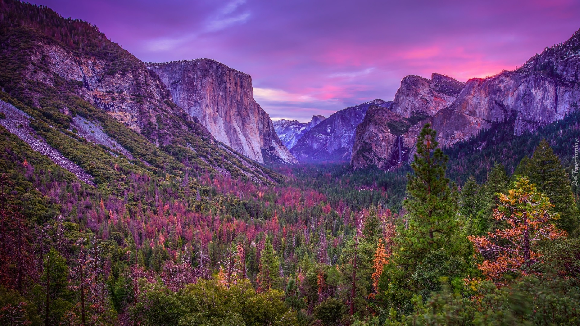 Dolina Yosemite Valley, Park Narodowy Yosemite, Jesień, Góry, Drzewa, Lasy, Stan Kalifornia, Stany Zjednoczone