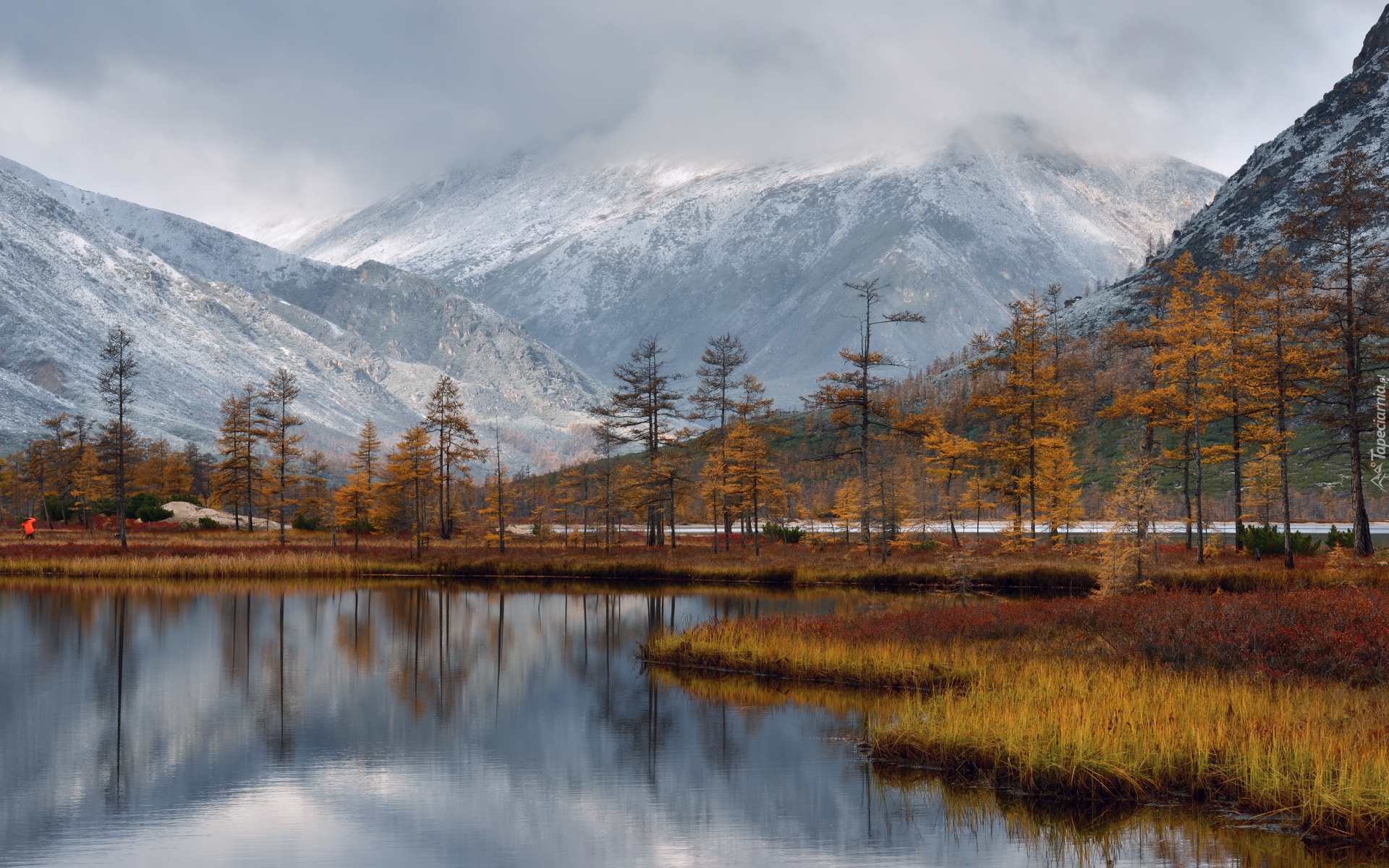 Jesień, Jezioro Jacka Londona, Góry, Mgła, Drzewa, Kołyma, Magadan, Rosja