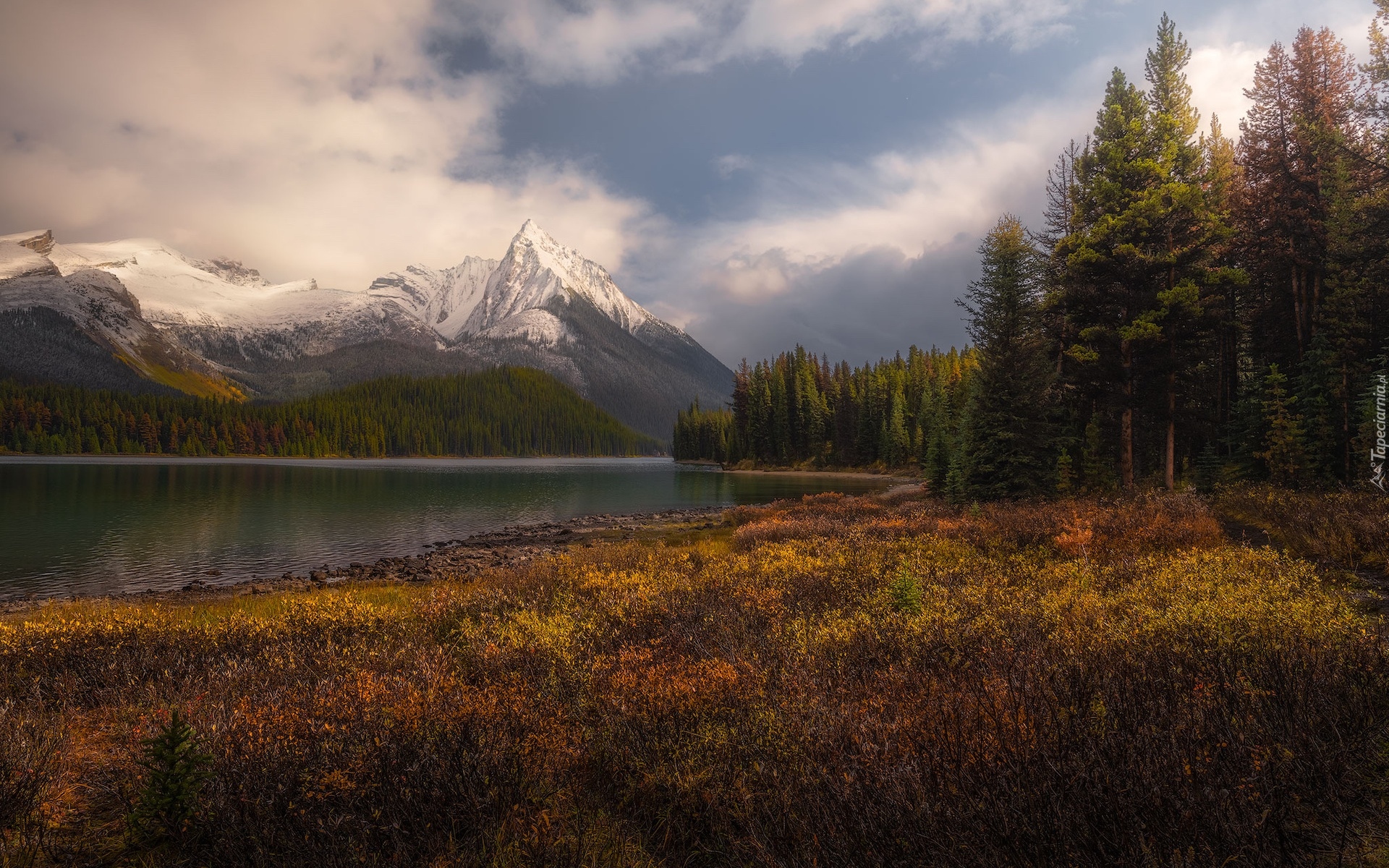 Góry, Canadian Rockies, Jesień, Drzewa, Jezioro, Alberta, Kanada