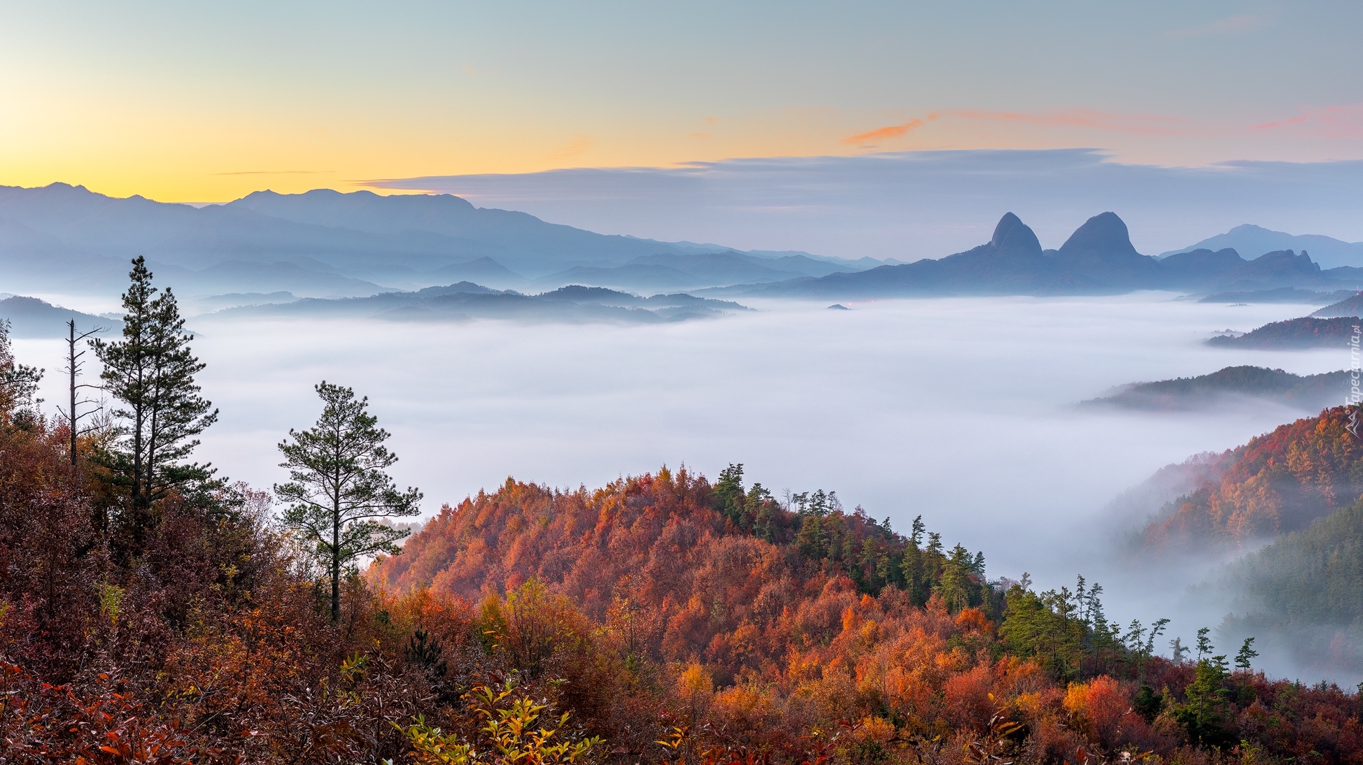Góry, Jesień, Mgła, Lasy, Drzewa, Roślinność