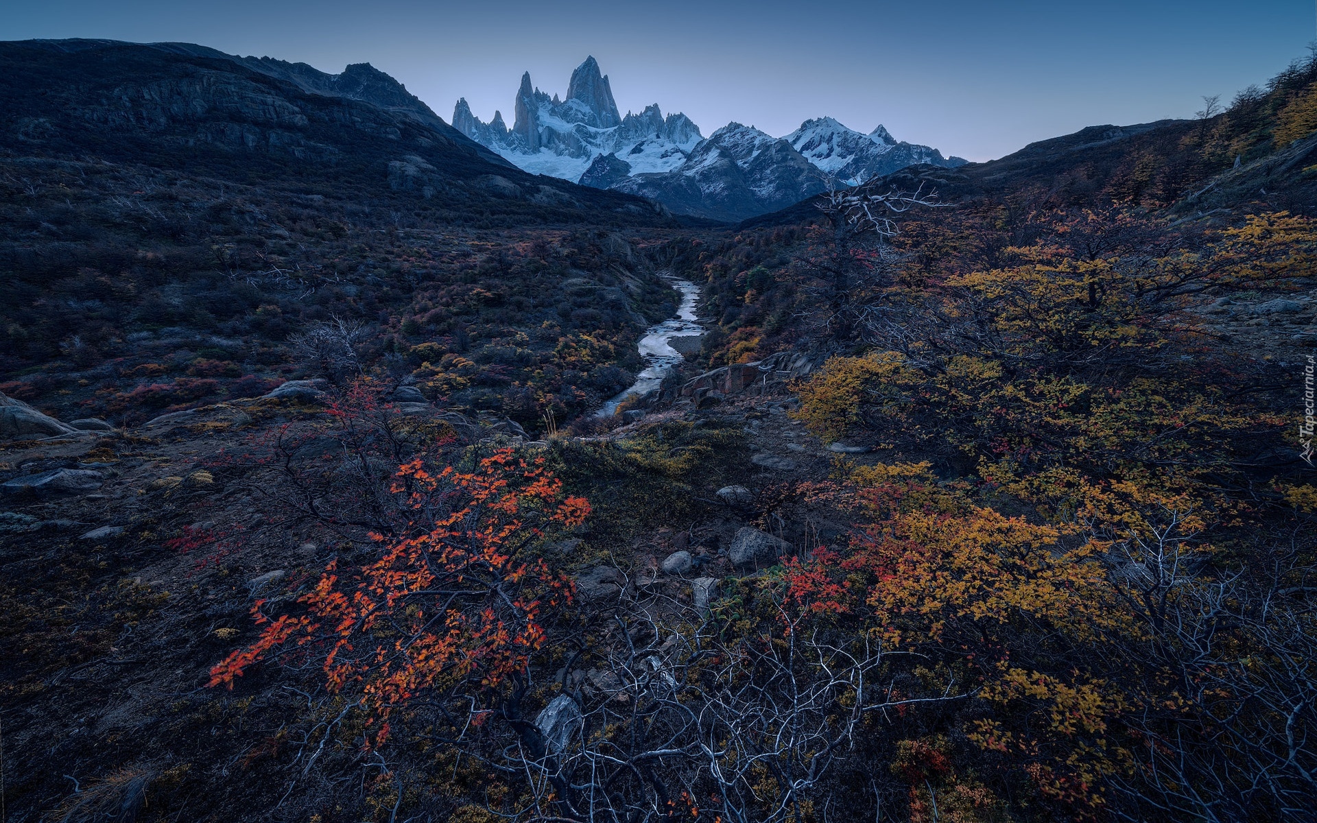 Argentyna, Patagonia, Góry, Fitz Roy, Rzeka, Jesień, Roślinność